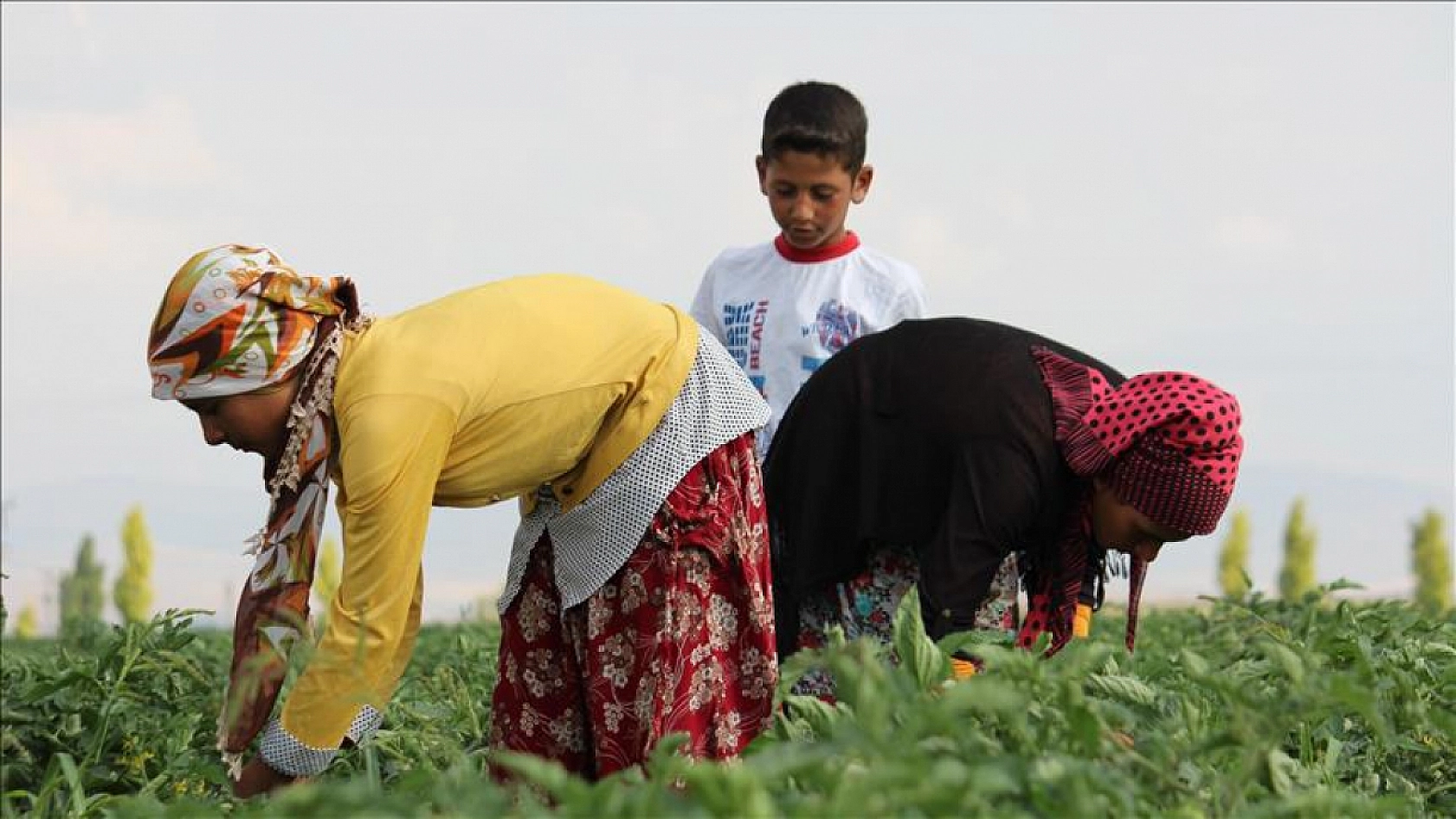 En Hızlı Büyüyen Meslekler Belli Oldu: Zirvedeki Meslek Şaşırttı!