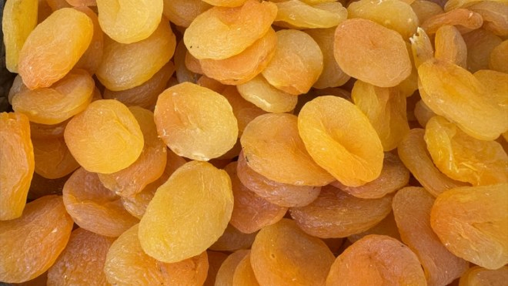 Kuru Kayısı Fiyatı Şaşırttı: Bu Defa Marketler Değil Üretici Kazandı!