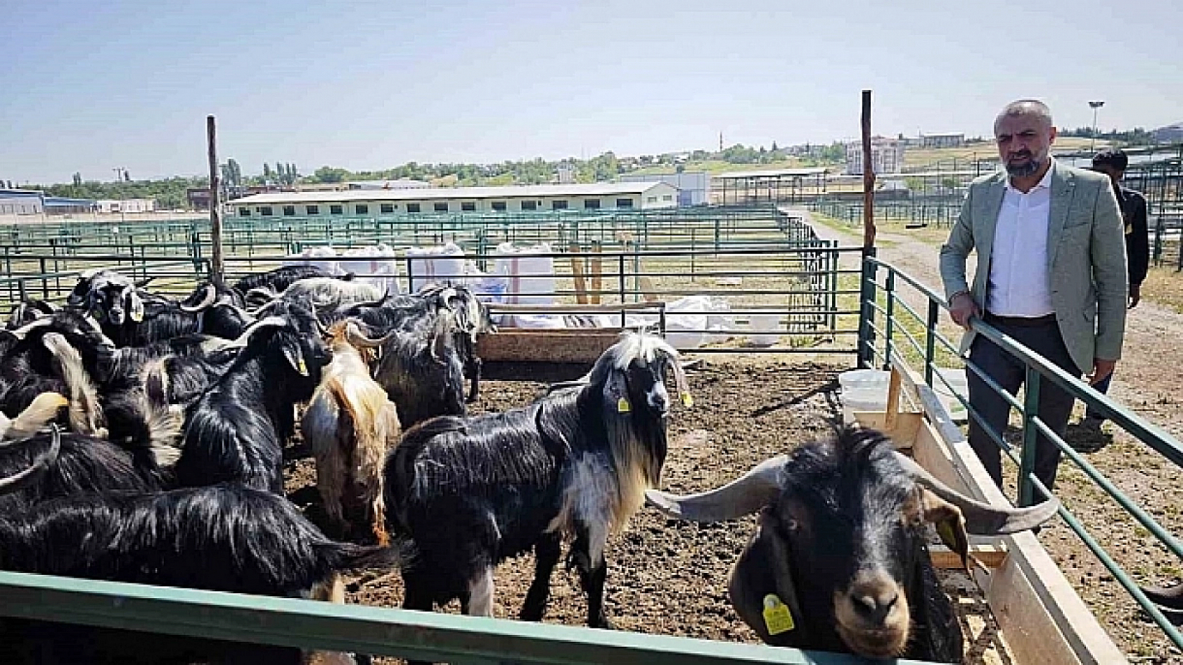Bakan Yumaklı Müjdeyi Verdi: Malatya'da Hayvan Pazarı İçin Tarih Belli Oldu…