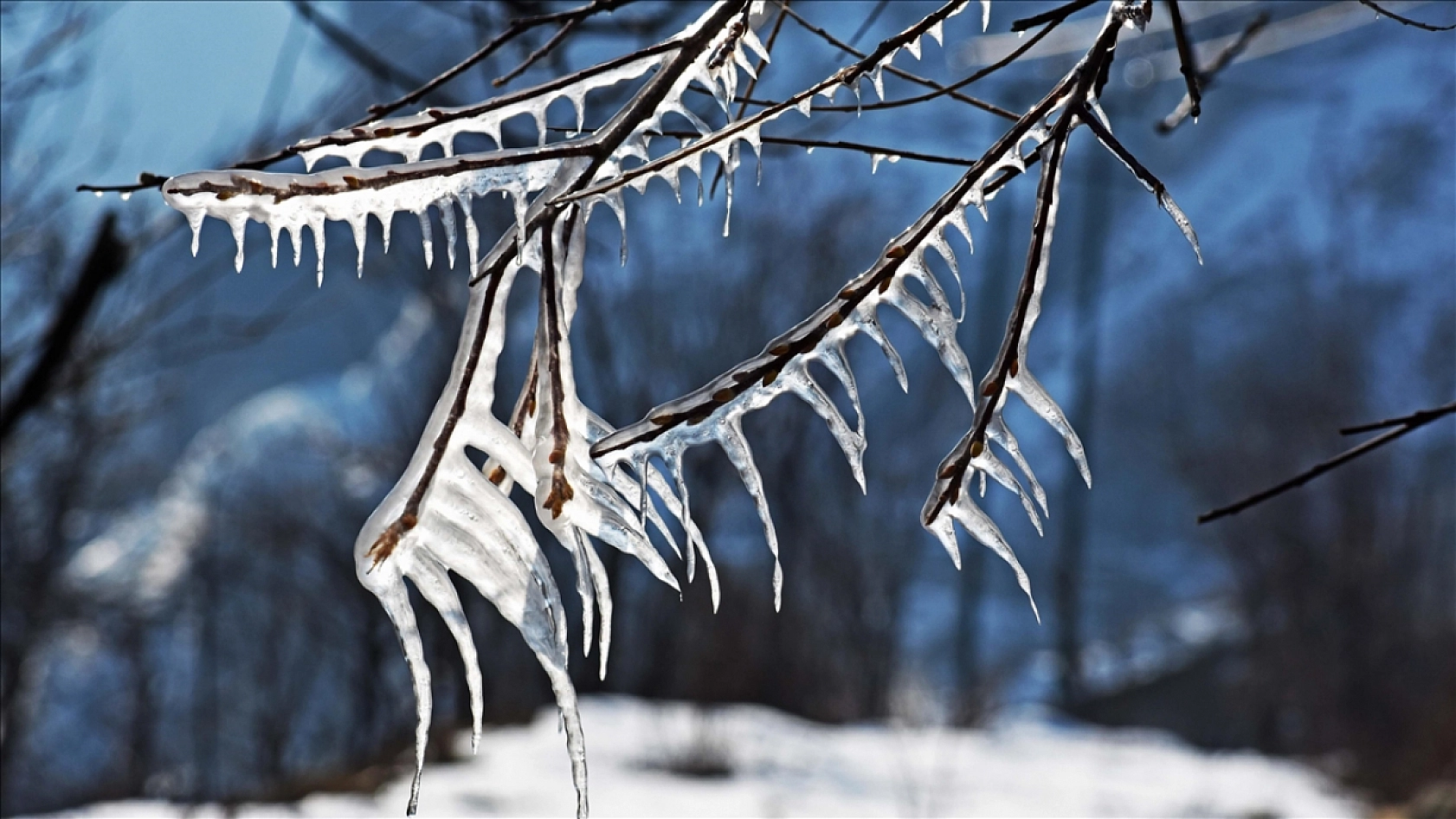Malatya Buz Kesti: Gece En Soğuk Havayı O İlçe Yaşadı!