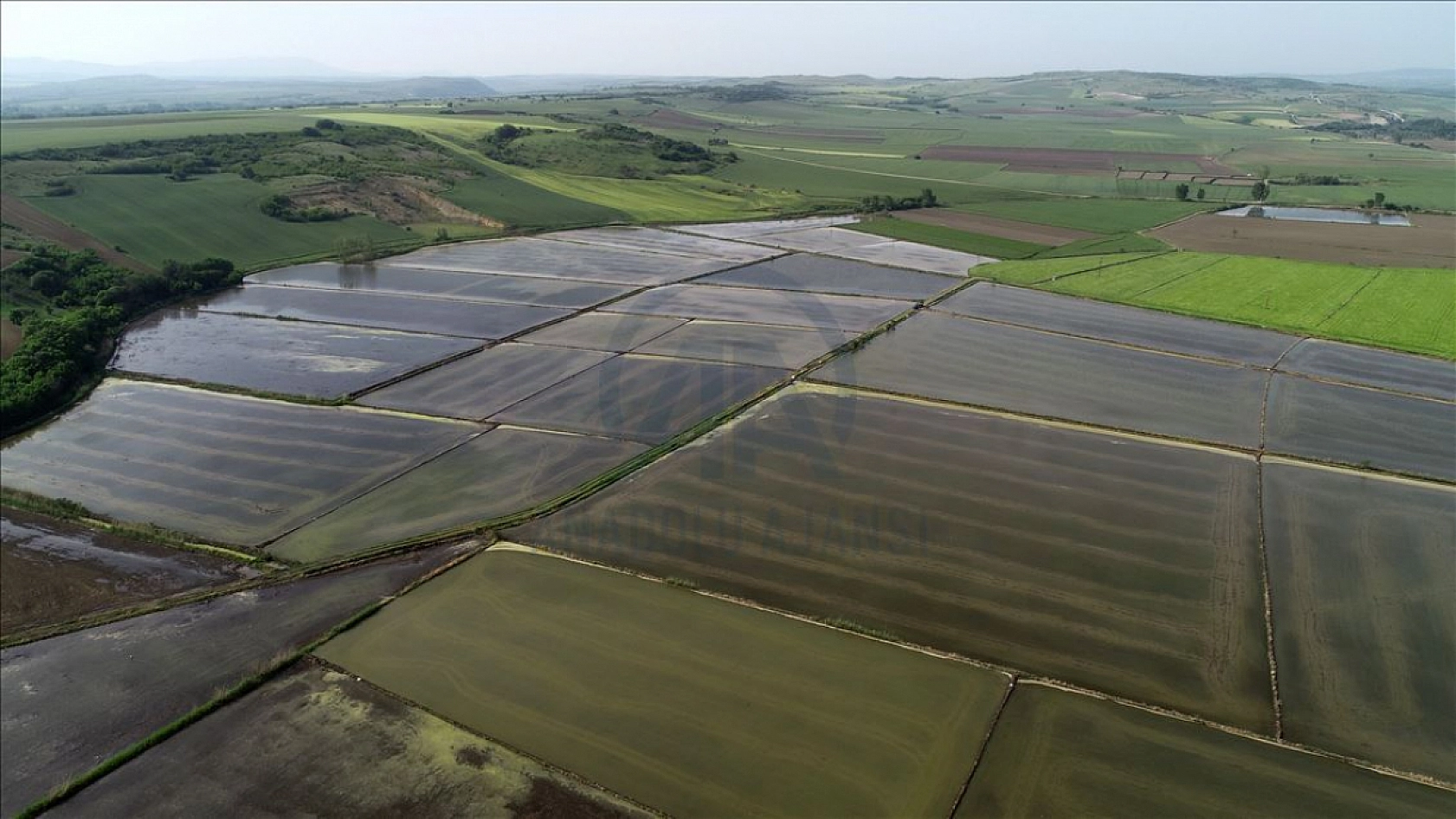 Bakan Yumaklı 'Tarımda Dönüşümün Yol Haritası'nı paylaştı: İşte detaylar