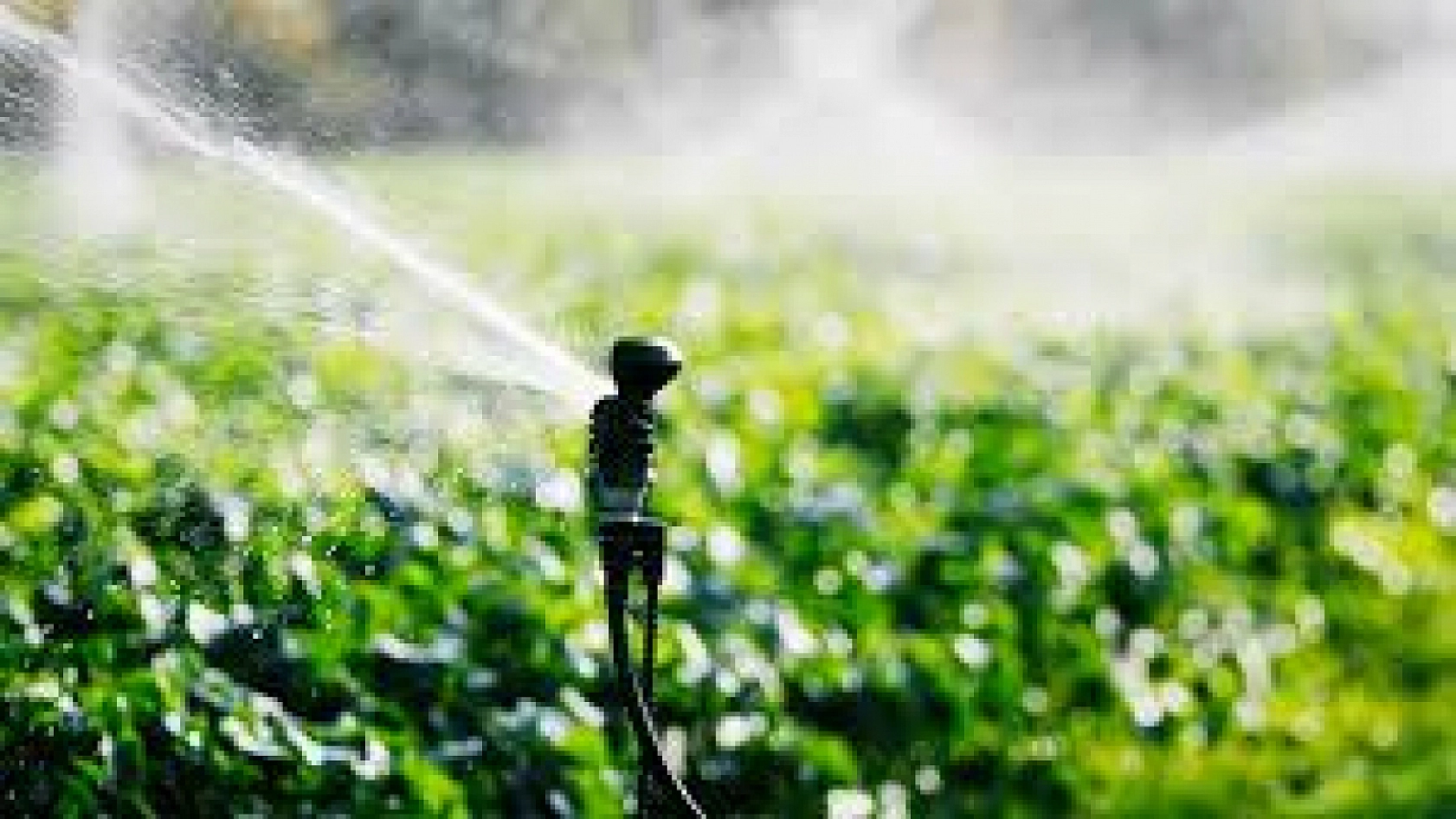 Tarımda Yeni Dönem: Tasarruf Artacak!