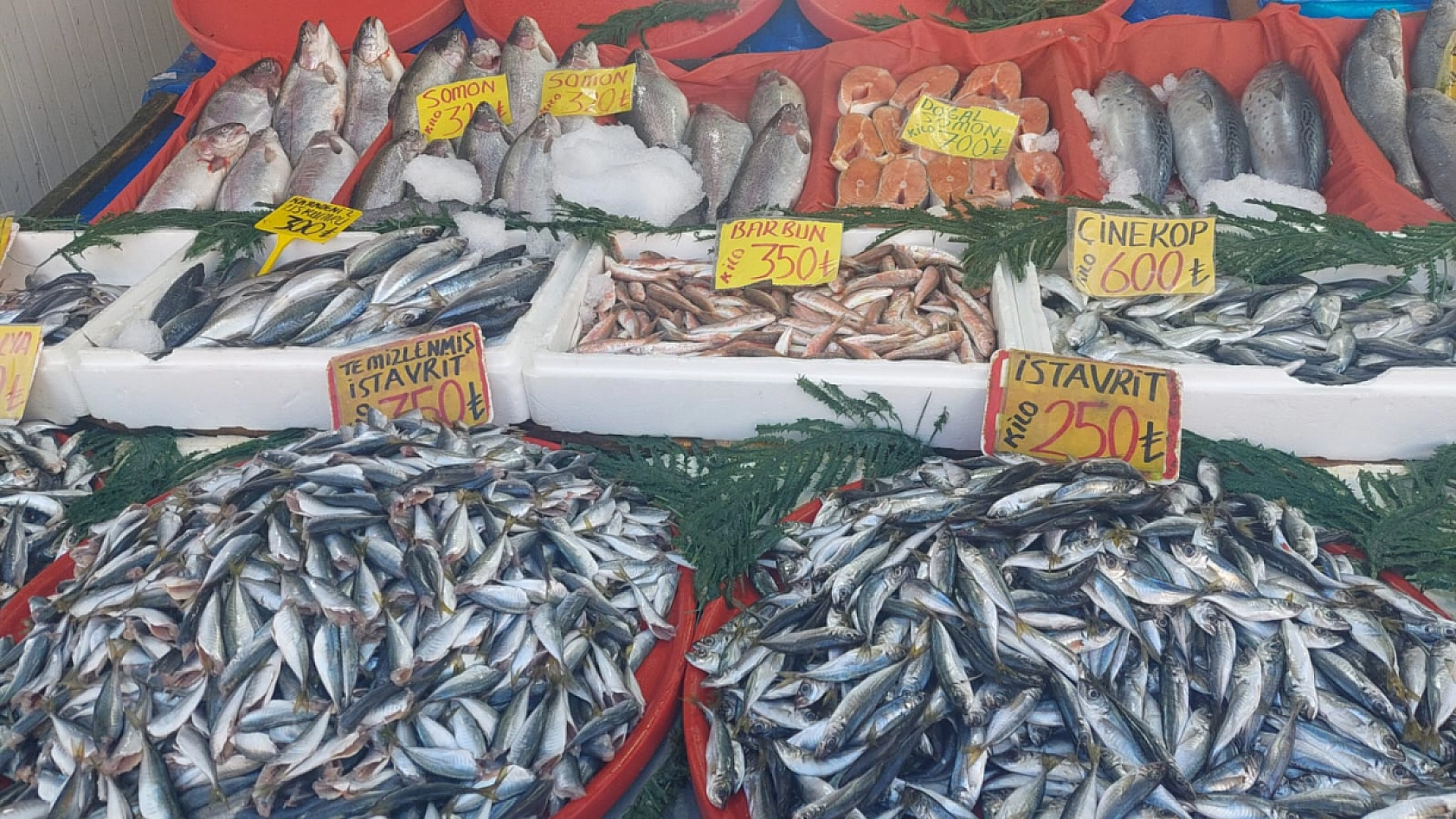 Malatya'da fiyatı dudak uçuklattı: Kırmızı et hayal olunca vatandaş balığa yöneldi!