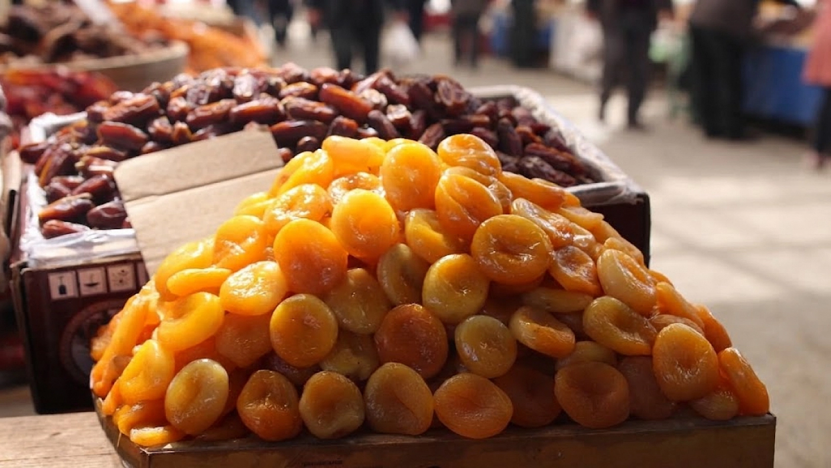 Malatya kayısısının fiyatı eridi: 500 TL'den 200 TL'ye düştü