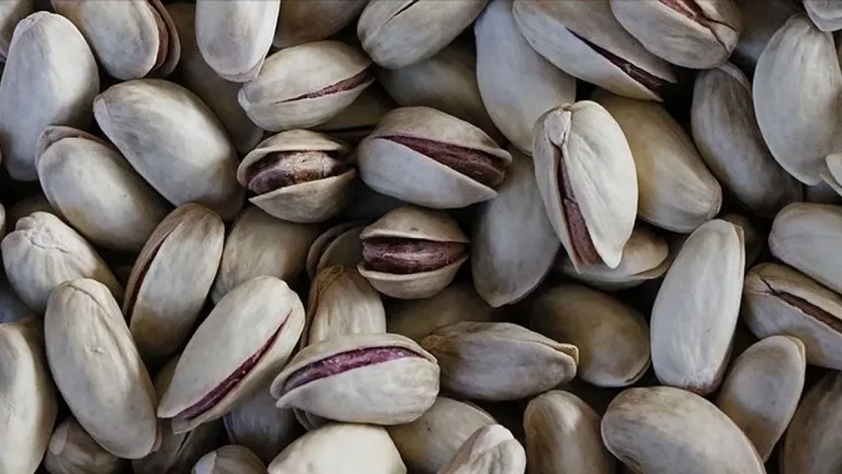 Dubai Çikolatası Rüyası Aflatoksin Kabusuna Dönüştü!