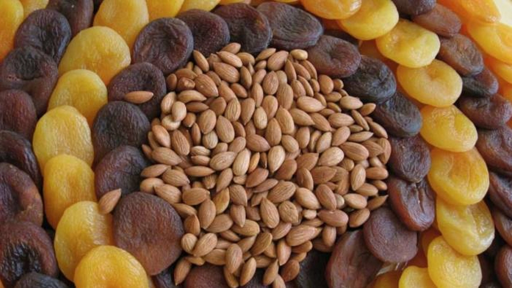 Bakanlık İl İl Açıkladı! Malatya Listede Yok…