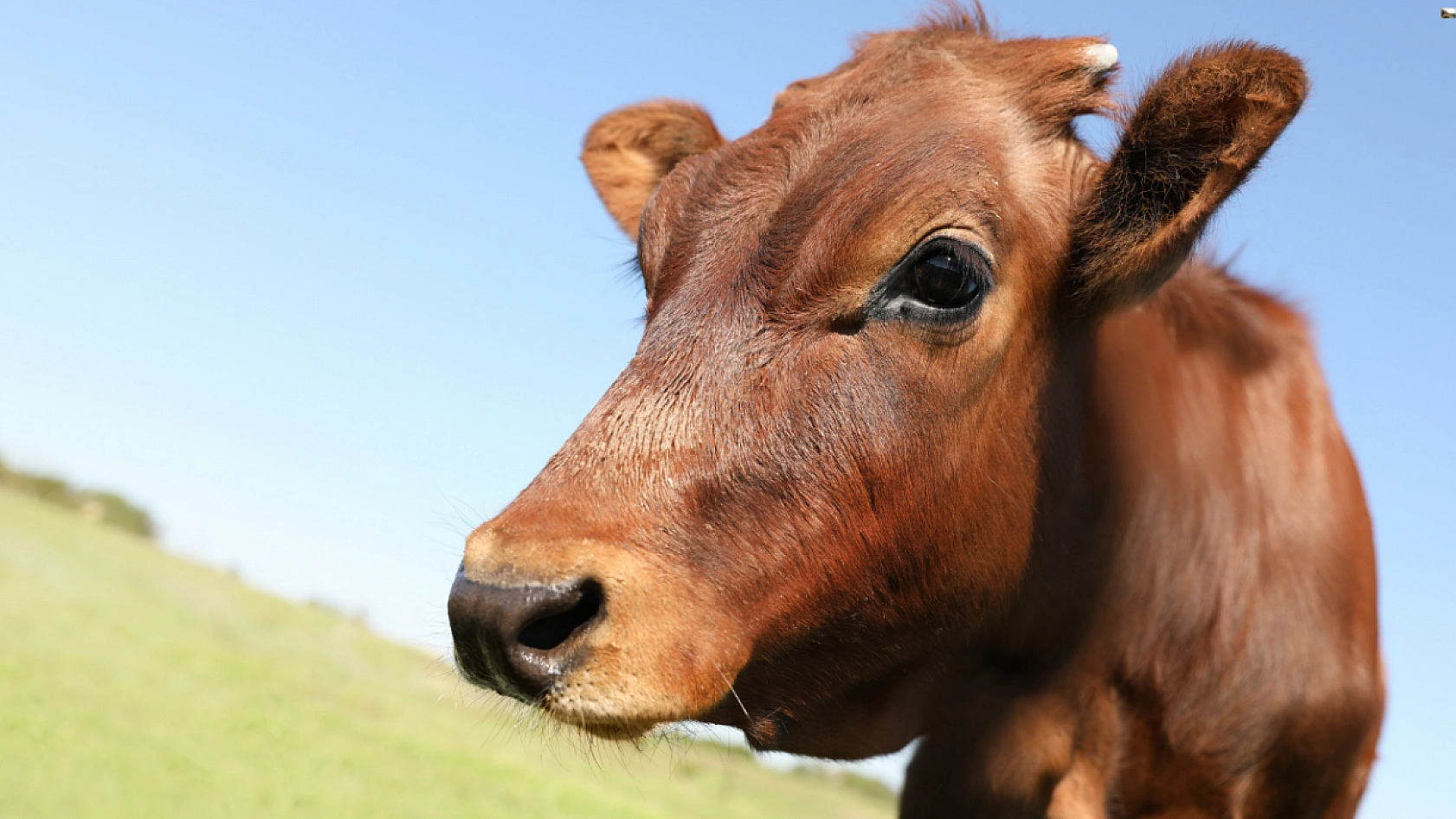 Malatyalılar Müjde..! Bakan duyurdu… Hesaplarınıza yatırılmaya başlandı