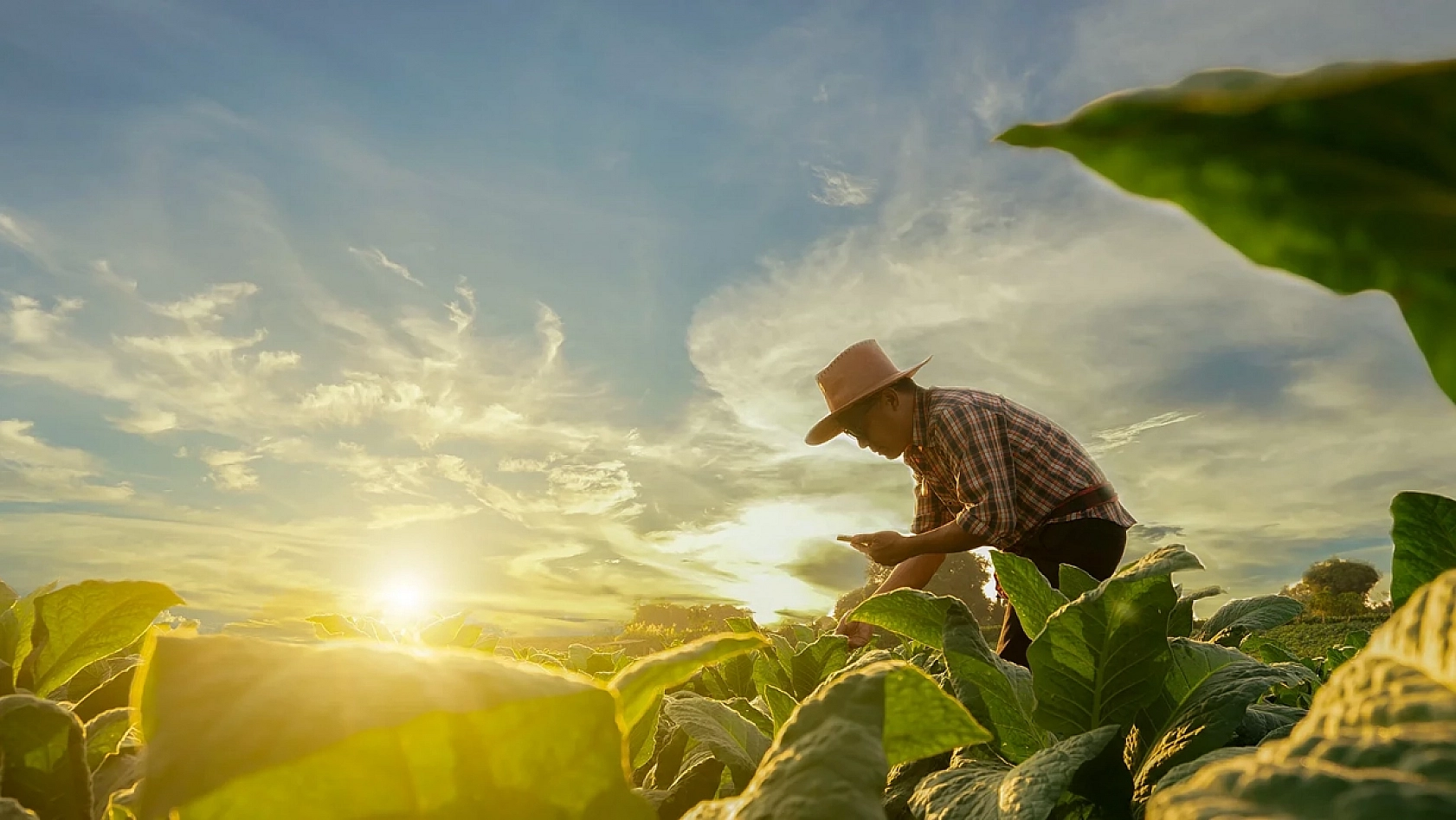 Vatandaşın beklediği ödemeler geldi: Bakanlık hesaplara tek tek yatırmaya başladı…