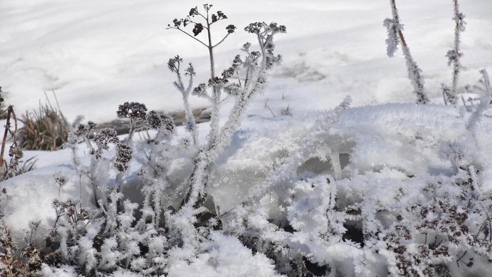 Malatya'da Bugün Hava Nasıl Olacak? İşte Hava Durumu Tahmini...
