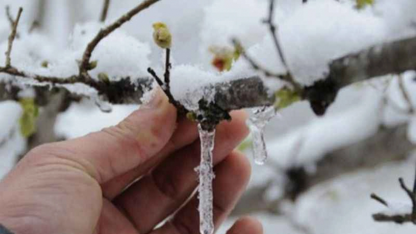Meteoroloji Çığ Tehlikesi, Buzlanma ve Don Olaylarına Karşı Uyardı