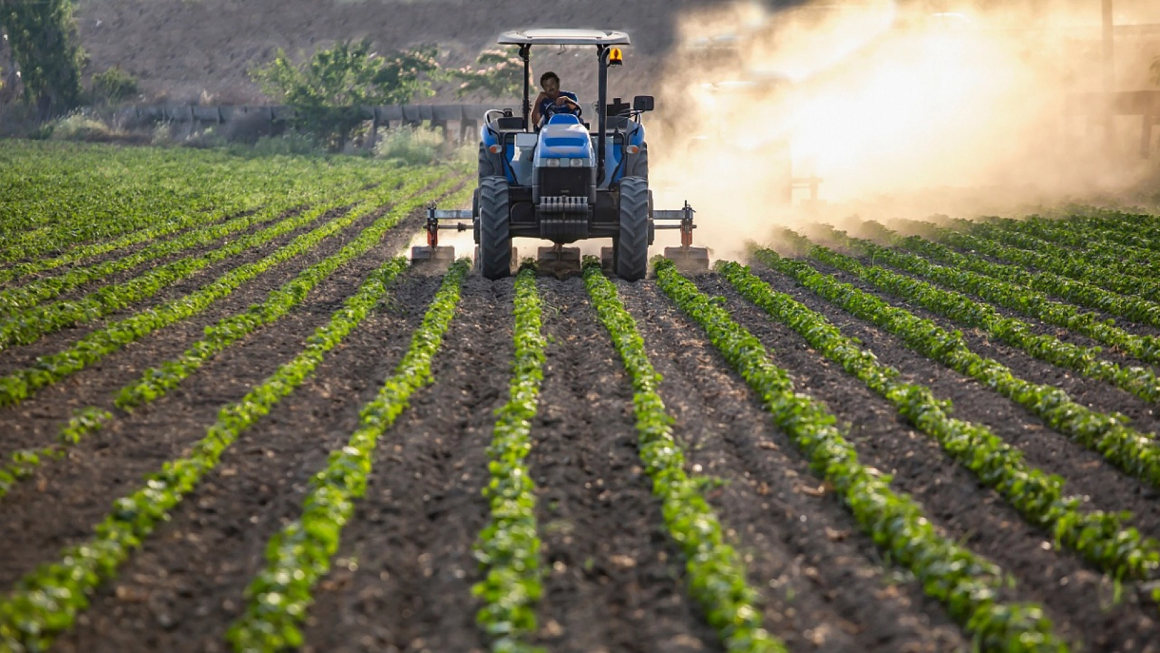 Tarım ve Orman Bakanlığı Açıkladı! İşte 33 Soruda Planlı Üretim Rehberi