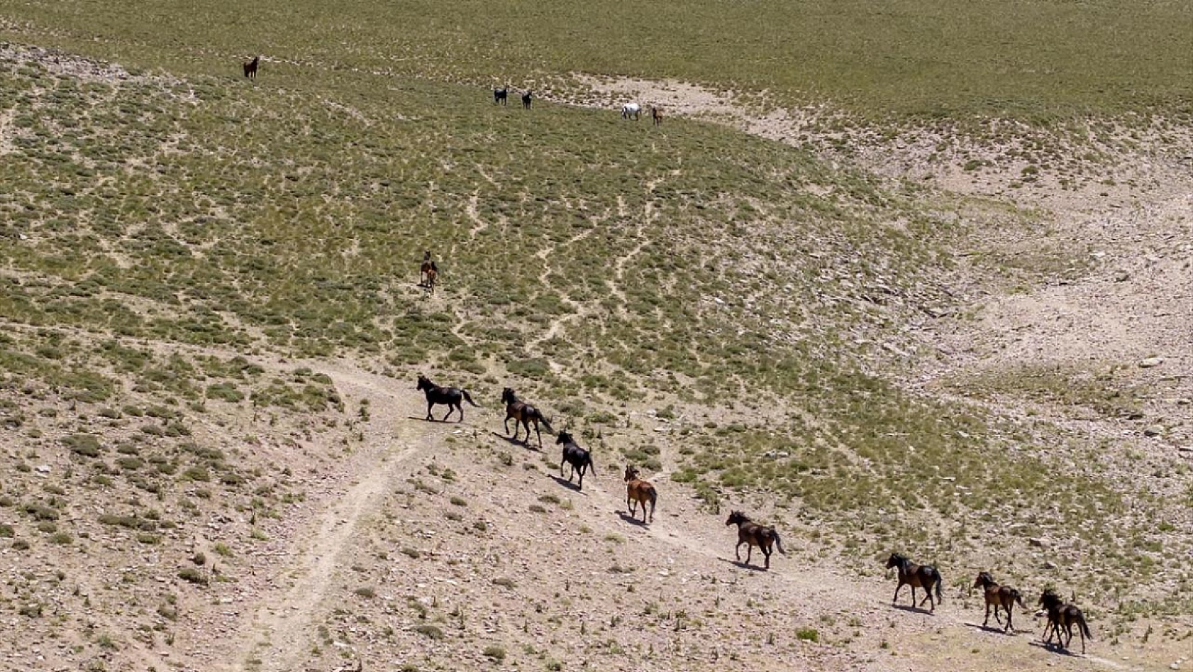 Malatya Sivas sınırında bulunuyor Onlarca insana ev sahipliği yapıyor