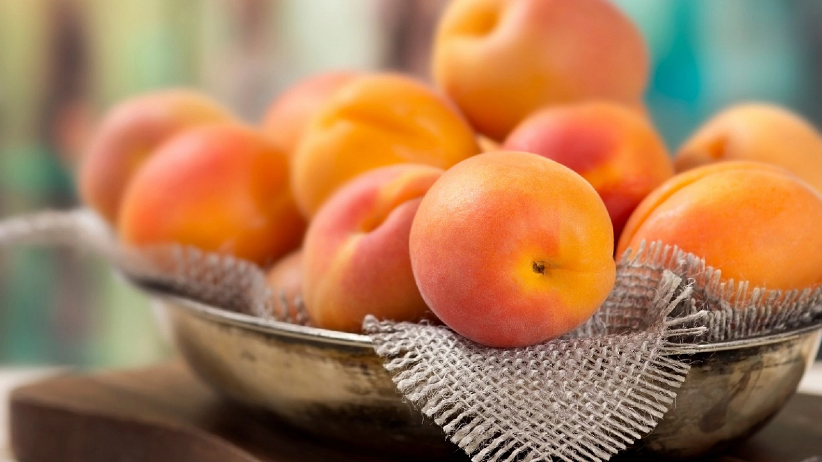 Malatya Kayısısına Bilimsel Yaklaşım! Çiftçinin Tecrübesi Bilimle Buluşacak!