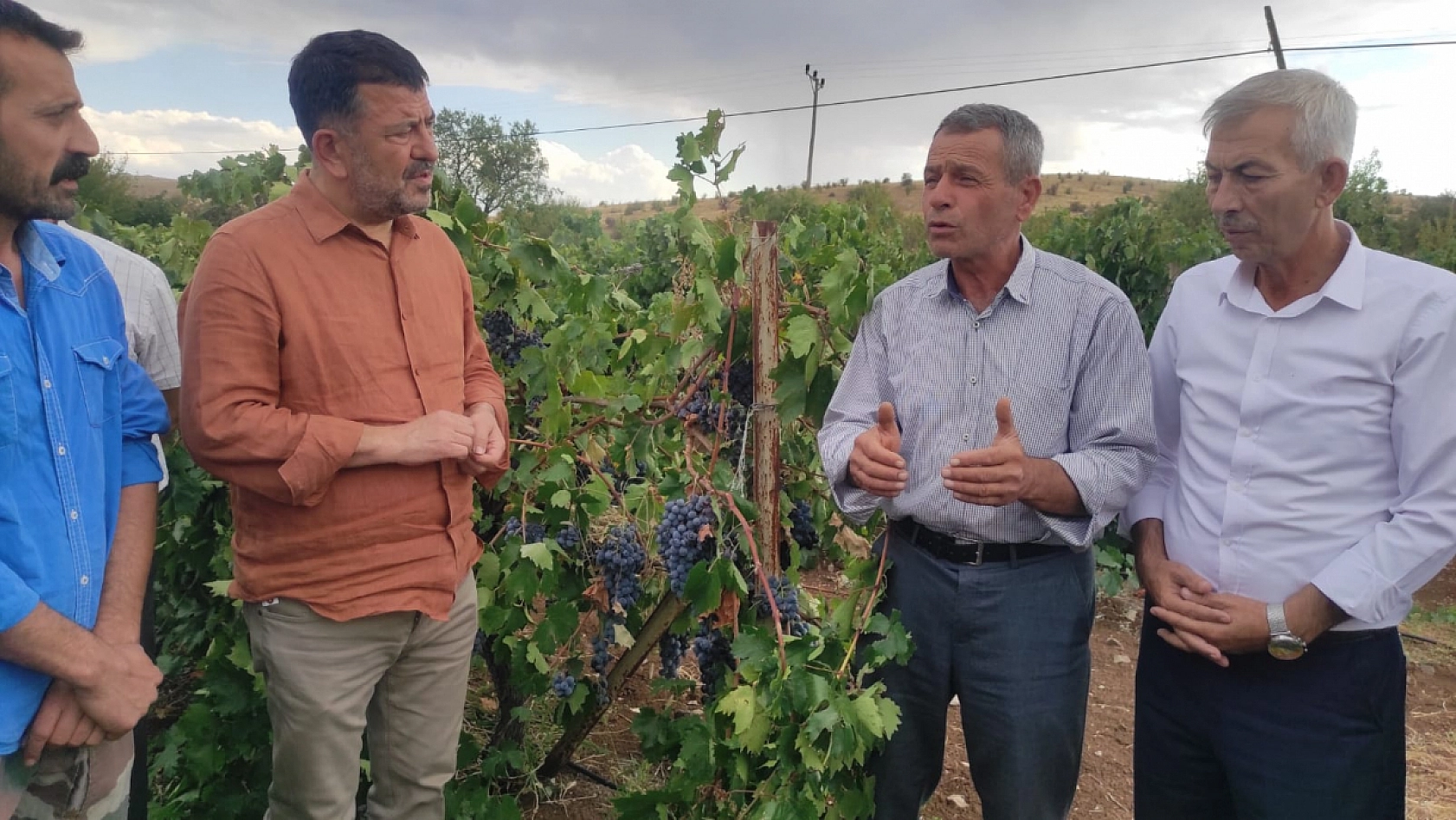 Artık Maliyetler, Düşen Fiyatlar, Üretici İsyanda!