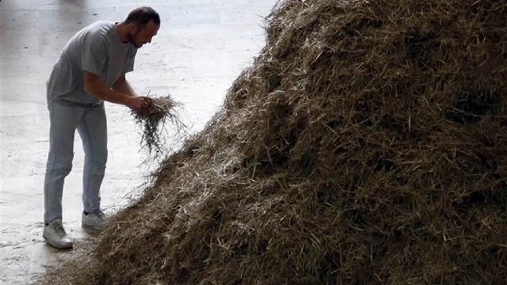 Malatya'da 40 bin liraya dayandı! || Kiracılar 'Samanlıkta İğne Arıyor'