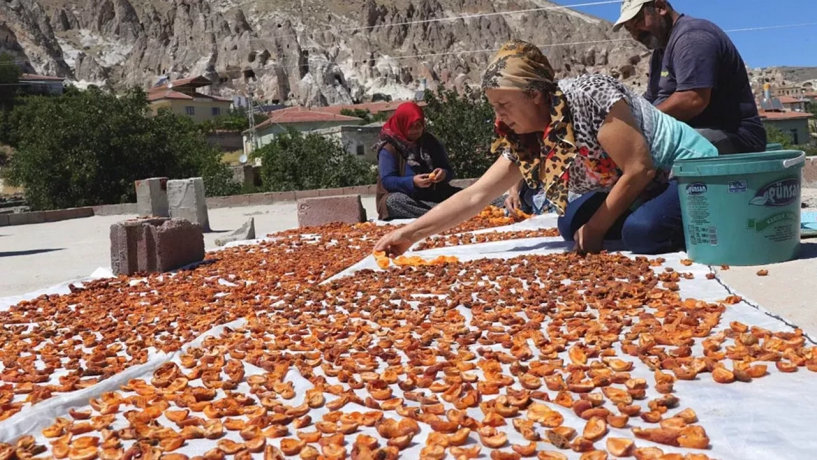 Malatya İhracatında Beklenmedik Yükseliş! Kayısı Fiyatları da Arttı!