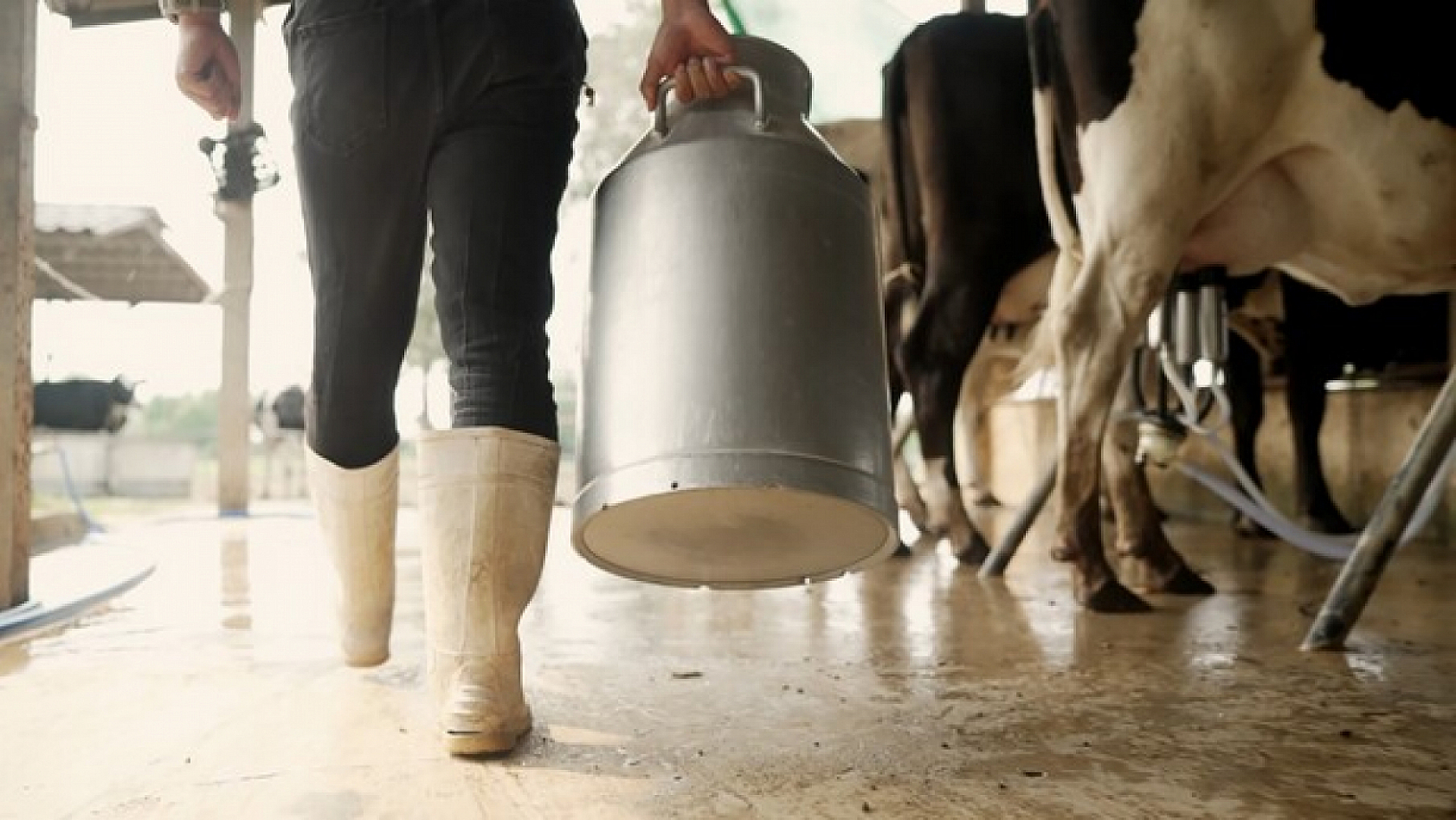 Malatyalı Üreticiye Can Suyu: 2 Milyar TL Hesaplara Aktarıldı…