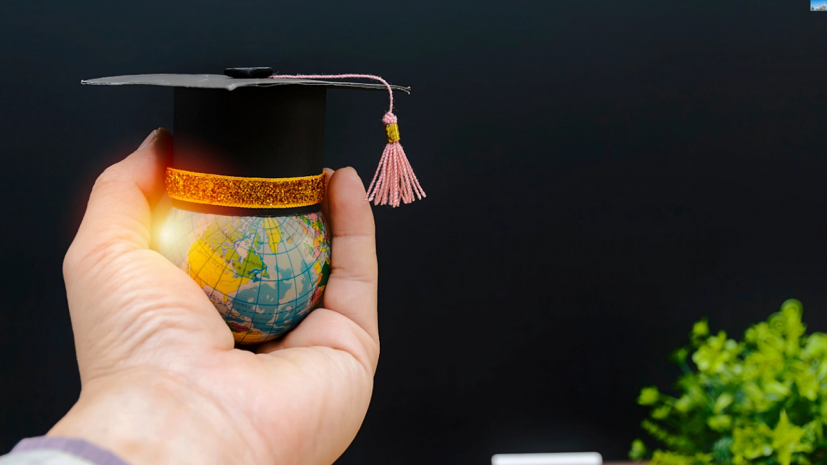 Malatyalılardan Bakanlığa Acil Çağrı: Kriz Derinleşiyor...!