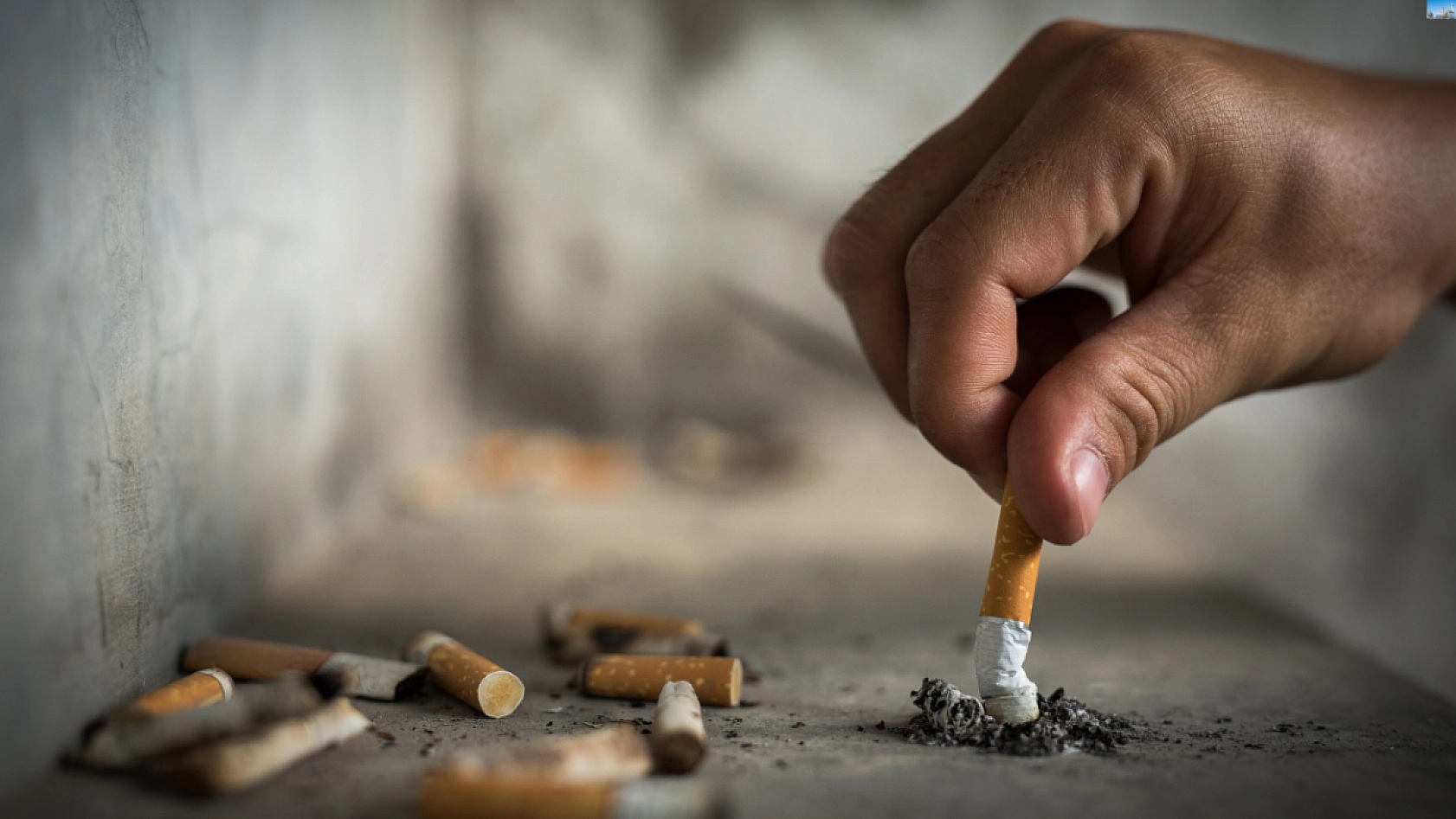 Malatya Valiliği Uyardı..! Satışı Yasaklandı...!