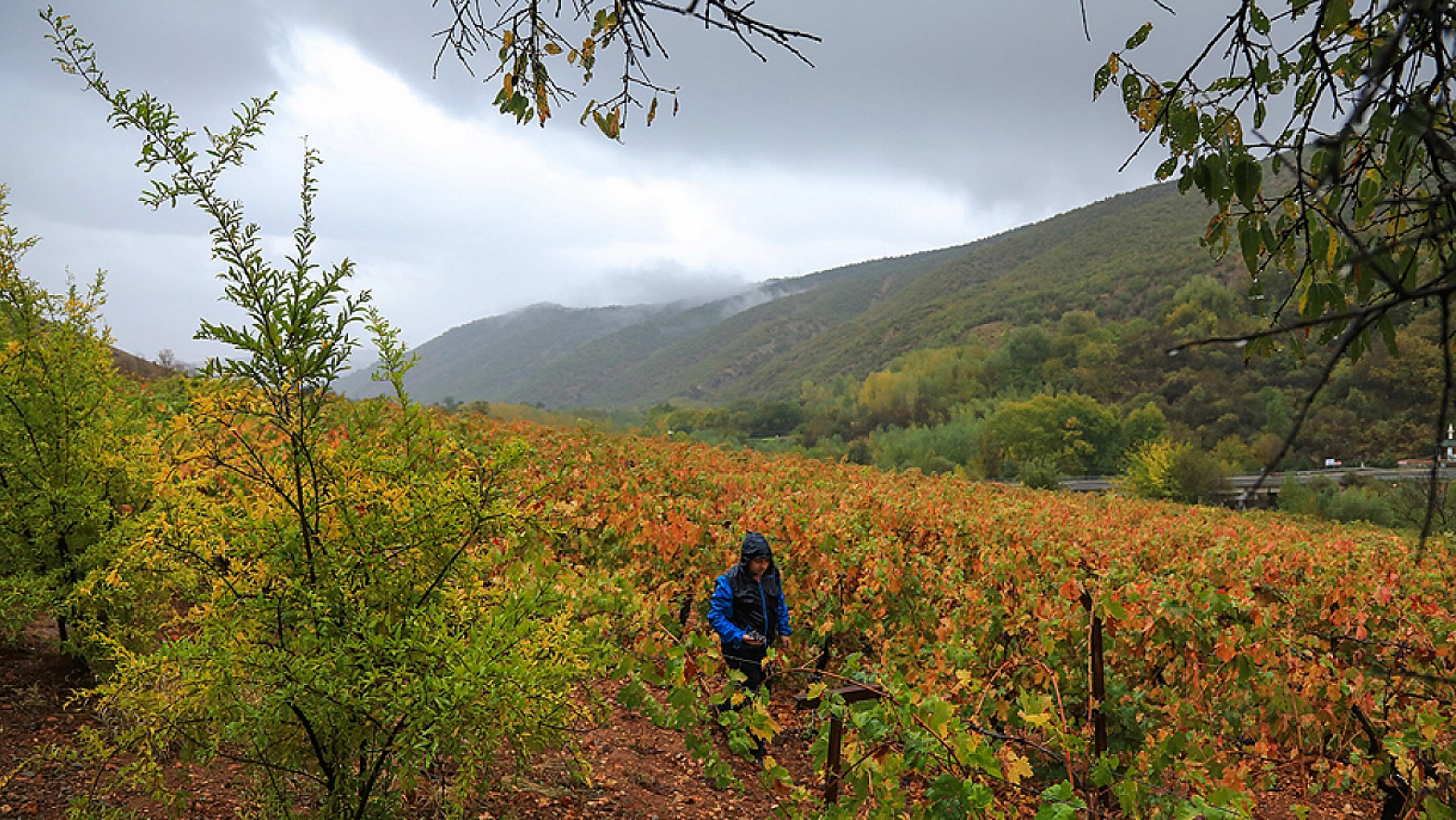 Malatya 33 Ülkeden 301 Şehirle Birlikte Vizyonuna Sahip Çıkıyor: Hedef Sürdürülebilir Gelecek!