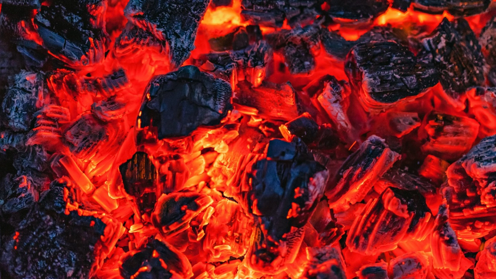 Malatya'ya Kaçak Olarak Getiriliyor… Sağlığı Tehdit Ediyor!