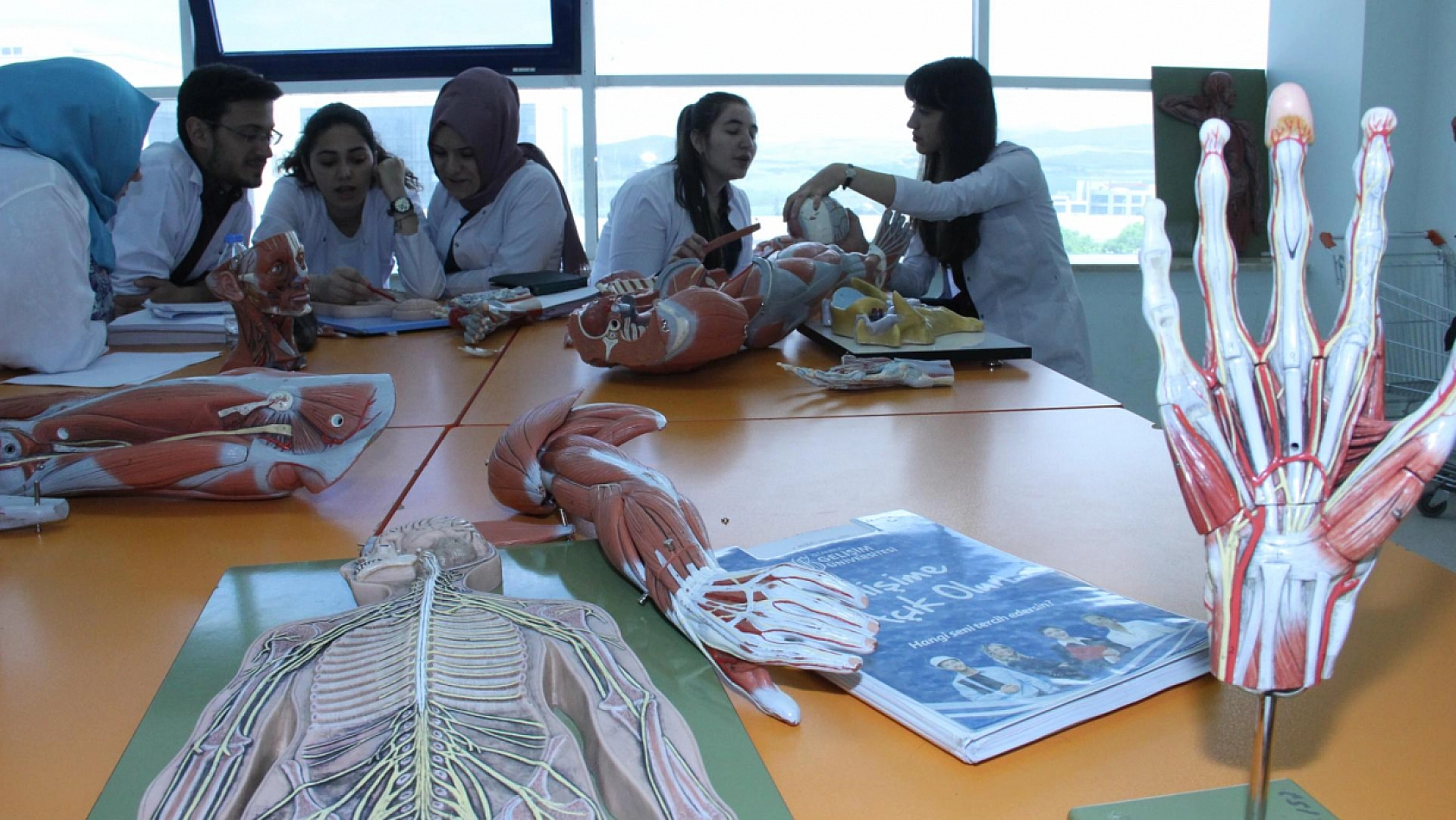 Dünya Üniversite Sıralaması Raporu Yayınlandı! İşte Malatya İnönü Üniversitesi'nin Sırası…