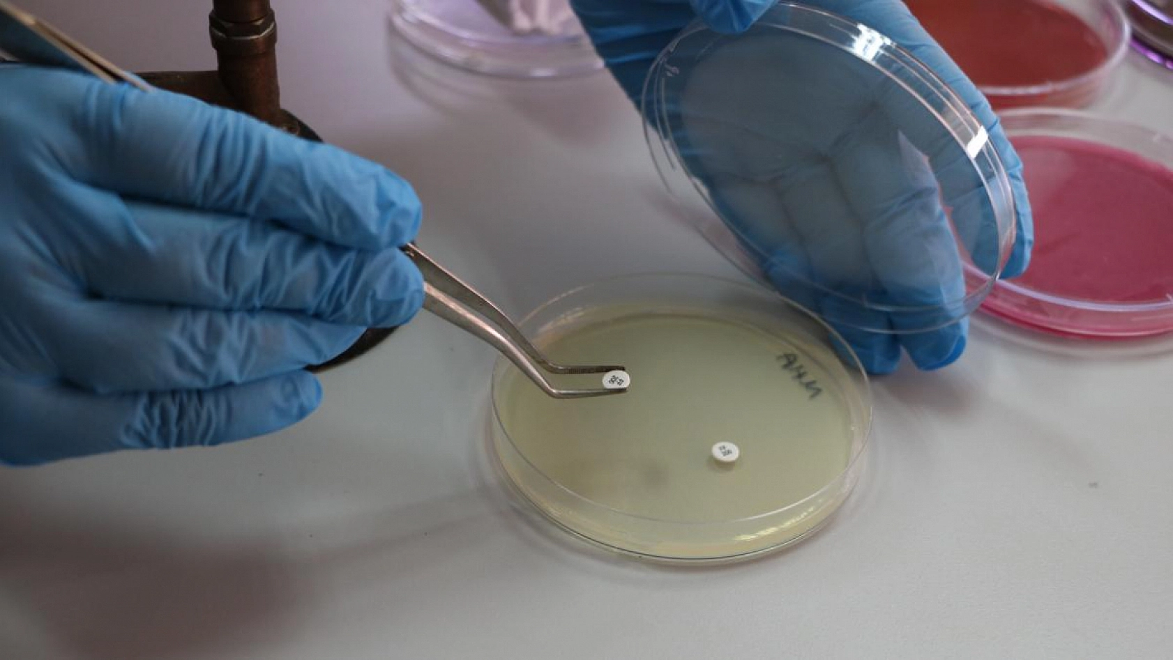 Malatya'da yapılan araştırma gerçeği ortaya çıkardı! Çiğ Sütten Geçiyor