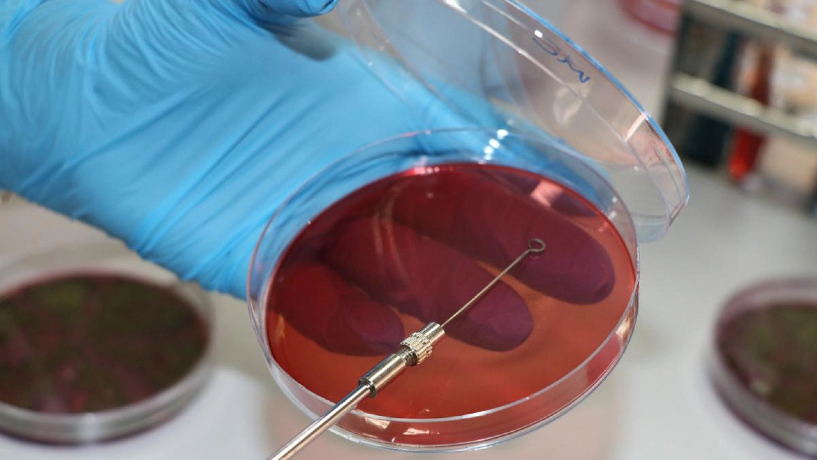 Malatya'da yapılan araştırma gerçeği ortaya çıkardı! Çiğ Sütten Geçiyor