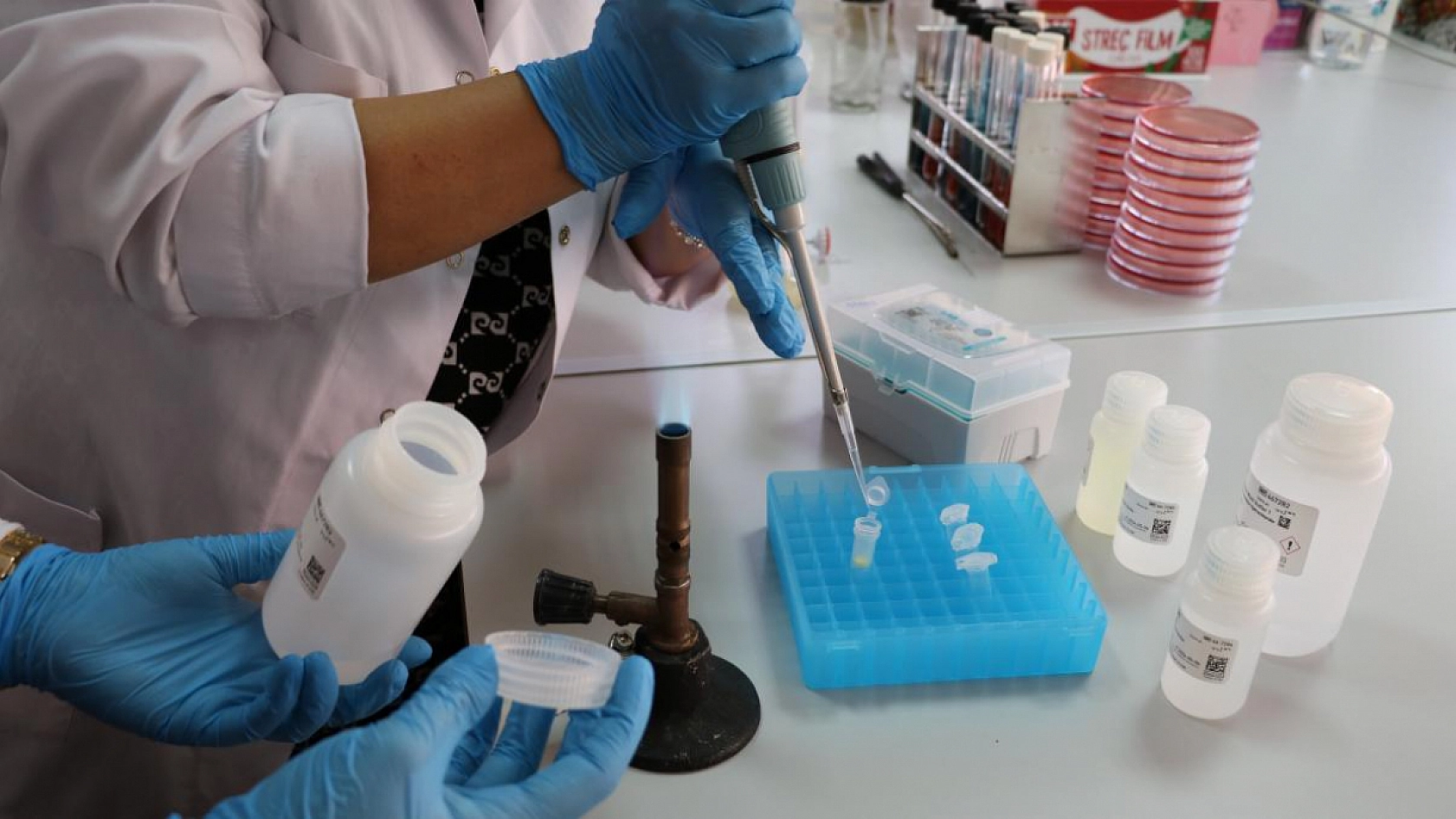 Malatya'da yapılan araştırma gerçeği ortaya çıkardı! Çiğ Sütten Geçiyor