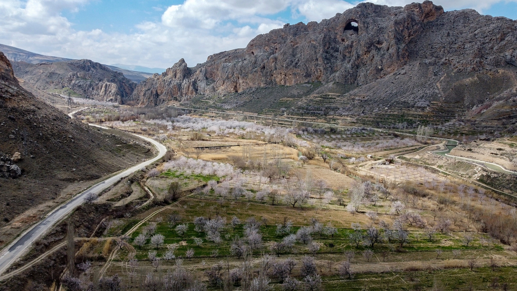 Dünyanın kayısı başkentinde çiçeklerin kokusu baş döndürdü!