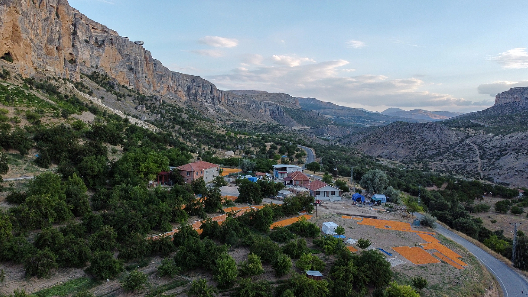 Malatya Kayısısı Dünyayı Tatlandırıyor! İşte Kayısının Serüveni!