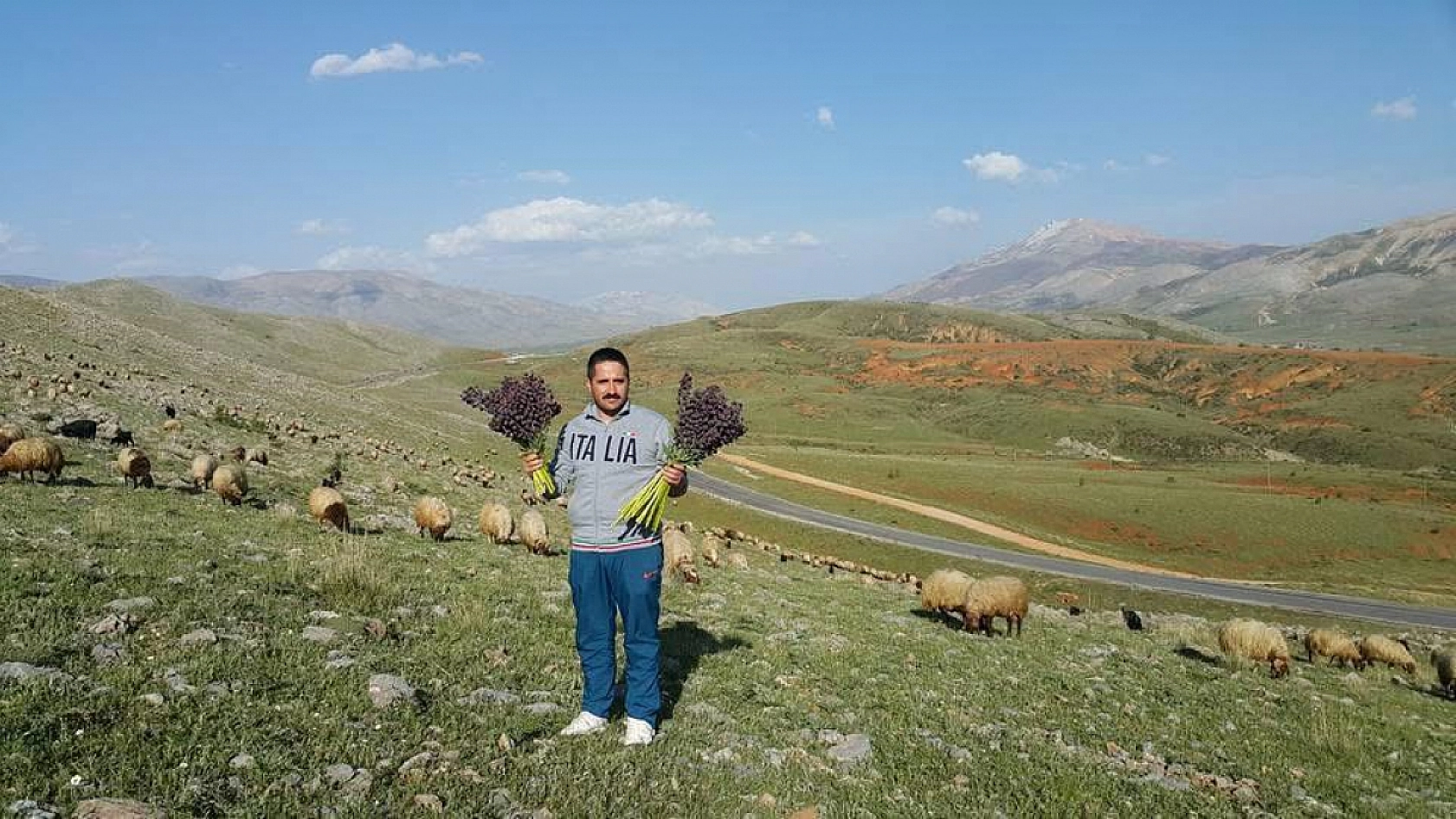 Malatya Ovası Morardı: Sümbüller Şehri Büyülüyor!