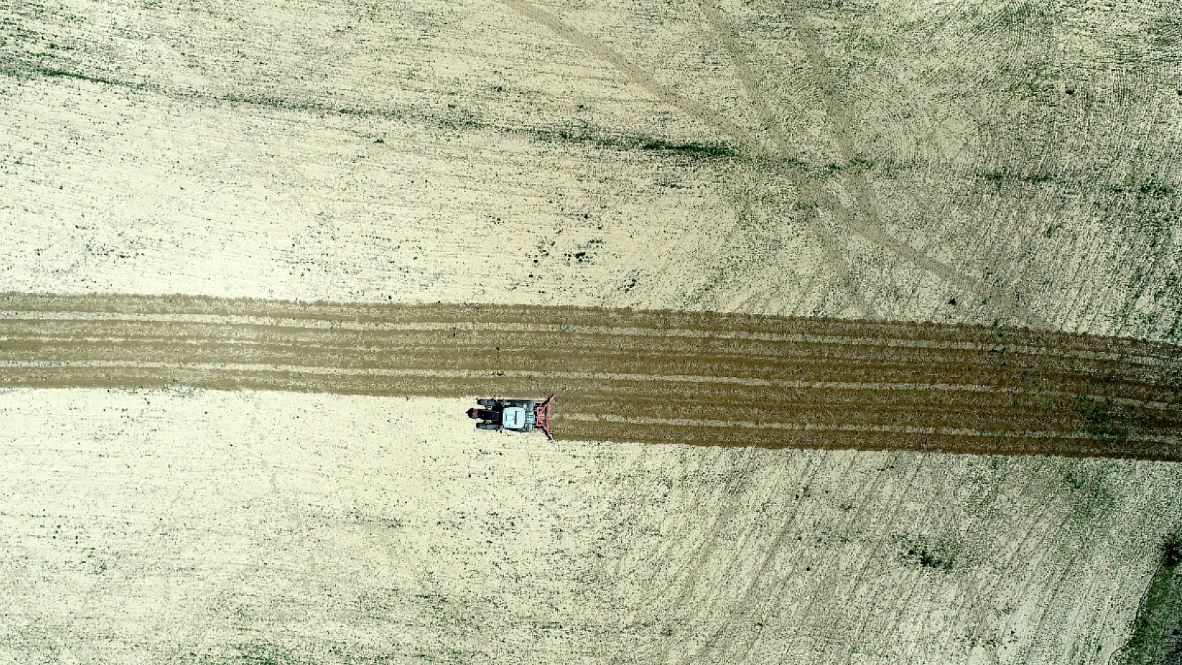 Üç kuşaklık mirası geleceğe taşıyor| Malatyalı genç çiftçi tarımda iz bırakıyor