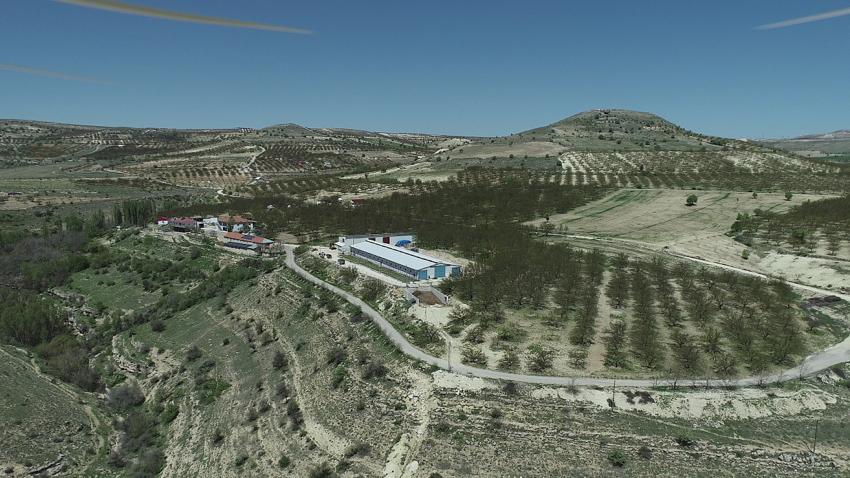 Üç kuşaklık mirası geleceğe taşıyor| Malatyalı genç çiftçi tarımda iz bırakıyor