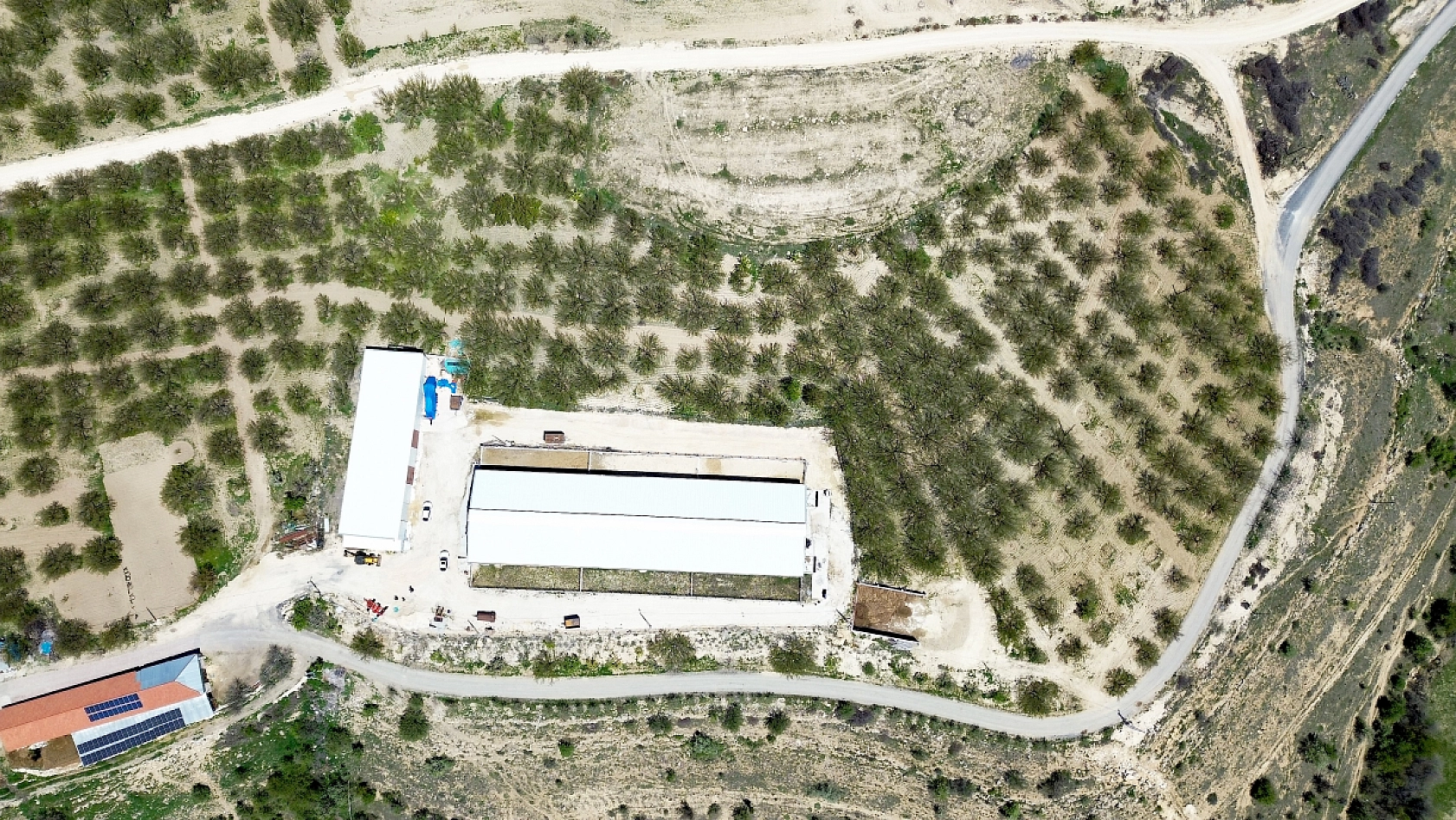 Üç kuşaklık mirası geleceğe taşıyor| Malatyalı genç çiftçi tarımda iz bırakıyor