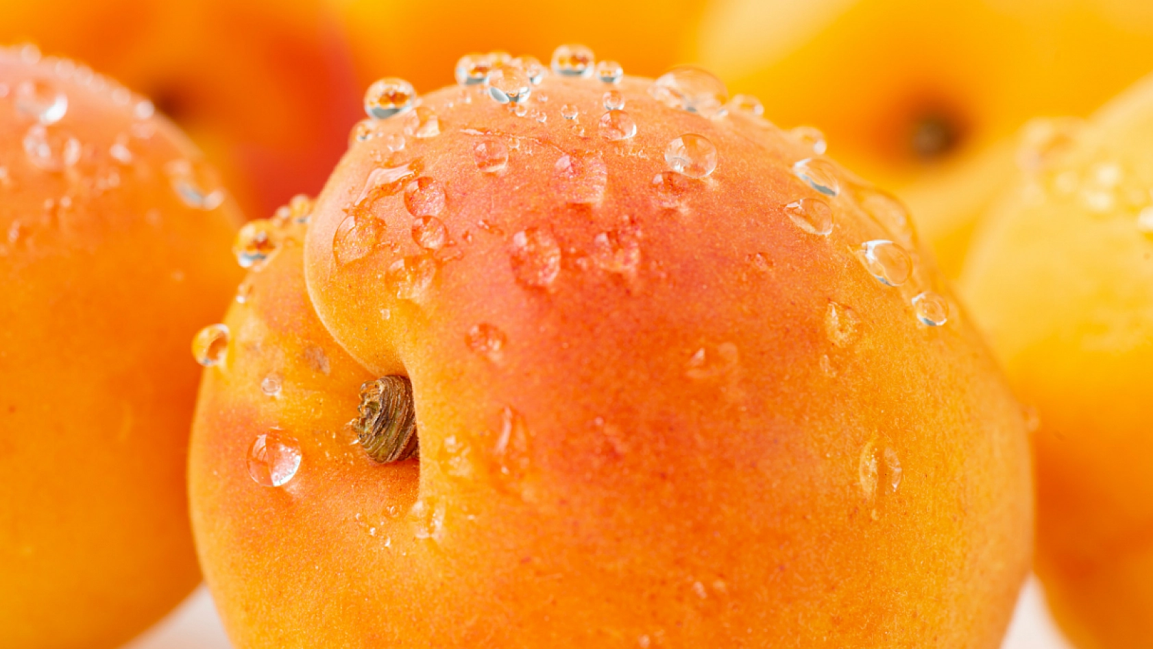 TMO'nun Kayısı Alımı Başladı! Peki Alım Kayısı Fiyatlarını Nasıl Etkileyecek?