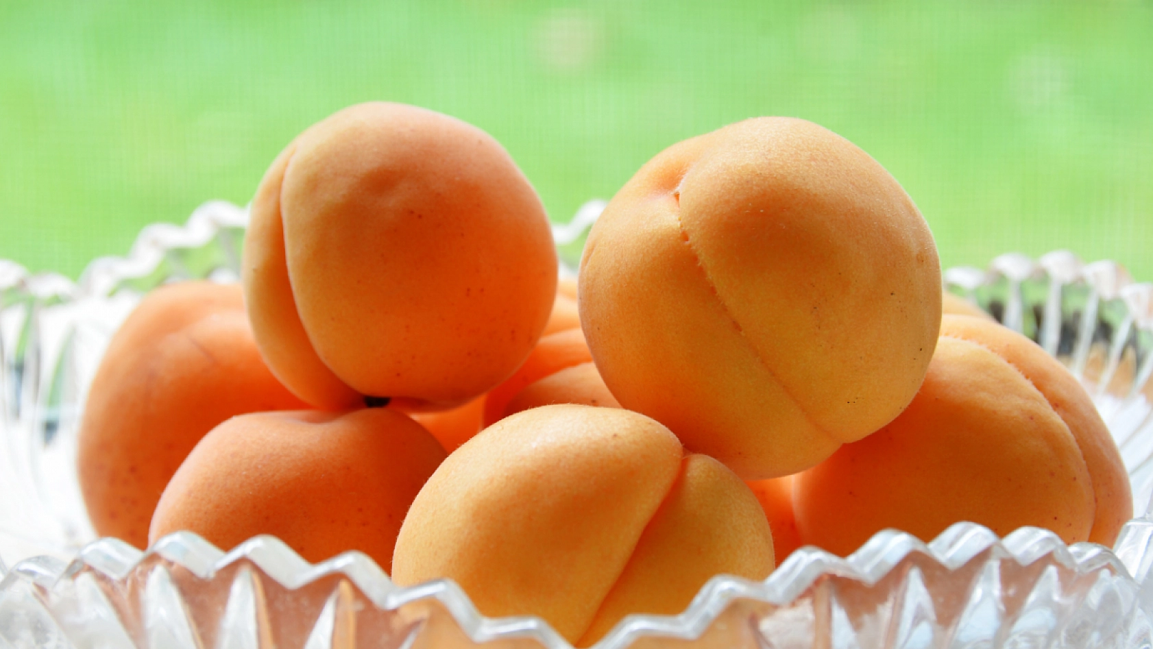 TMO'nun Kayısı Alımı Başladı! Peki Alım Kayısı Fiyatlarını Nasıl Etkileyecek?