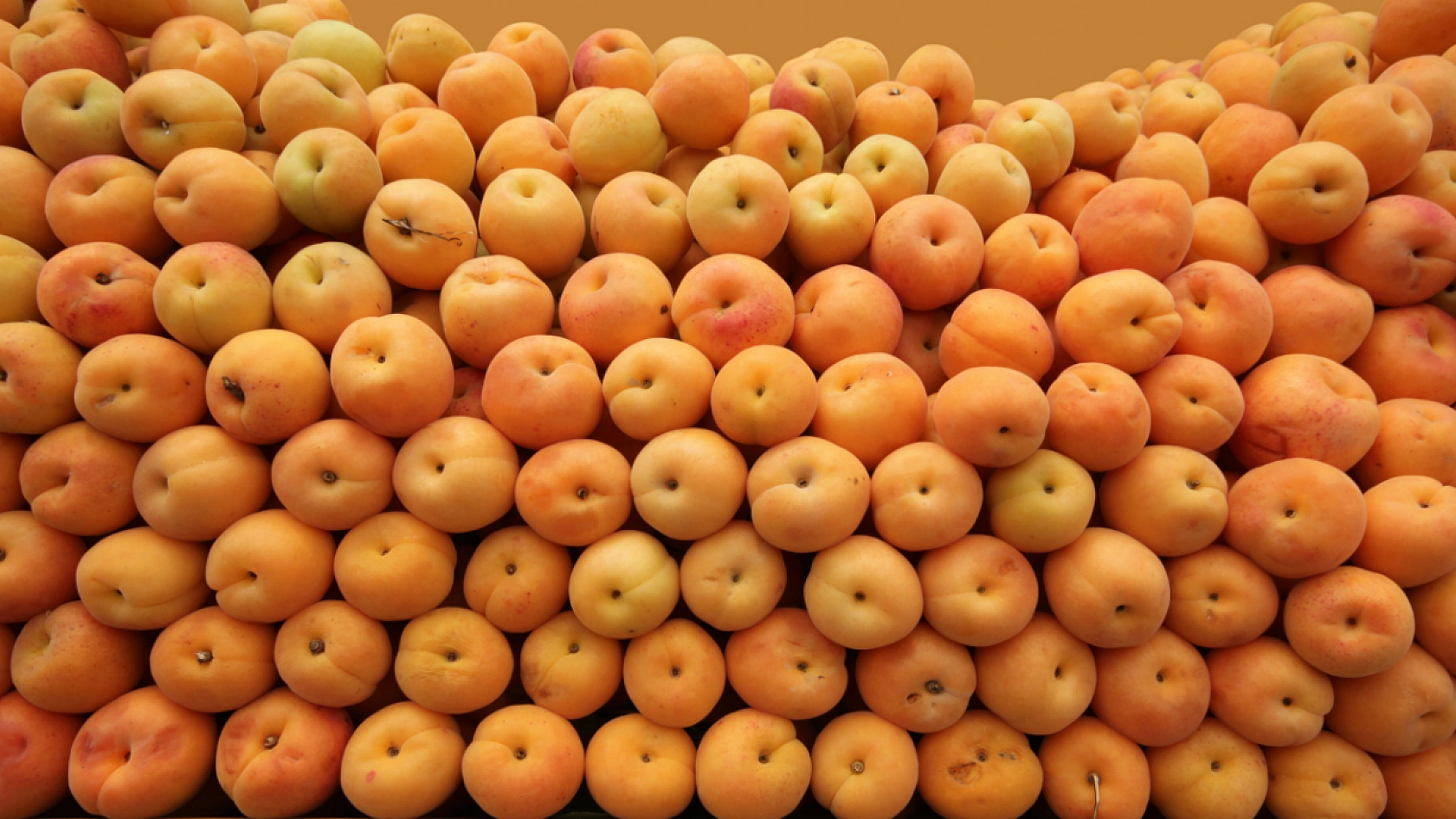 Üretici ve Market Arasında Uçurum Büyüyor..! Kuru Kayısı Zirveye Yaklaştı...