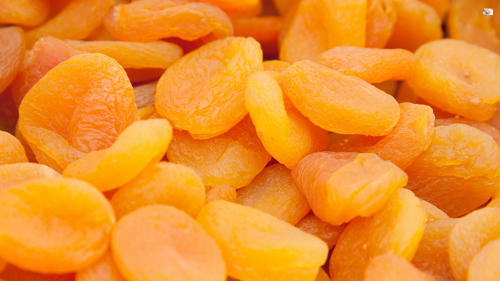 TMO'nun Kayısı Alımı Başladı! Peki Alım Kayısı Fiyatlarını Nasıl Etkileyecek?