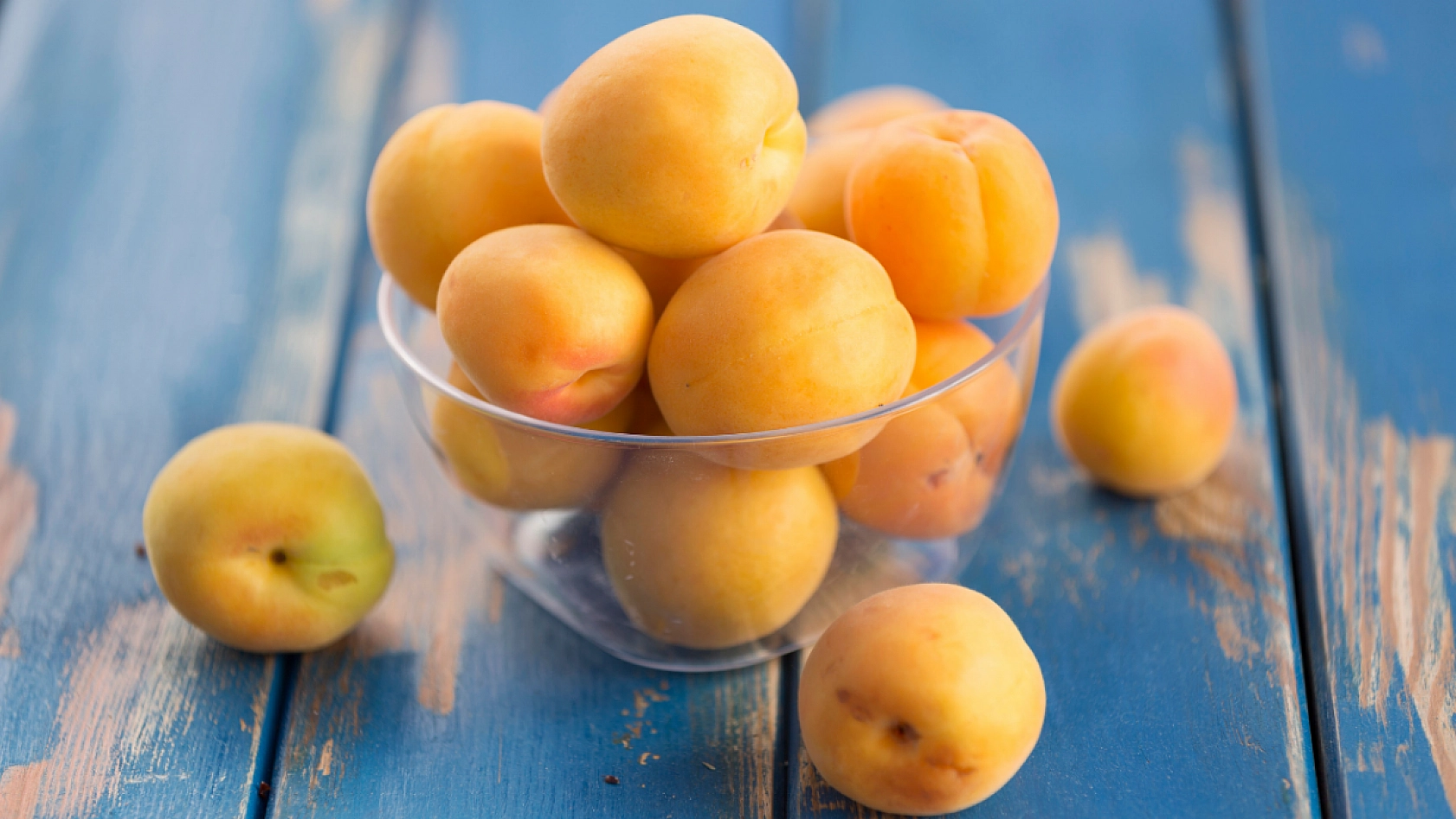 TMO'nun Kayısı Alımı Başladı! Peki Alım Kayısı Fiyatlarını Nasıl Etkileyecek?