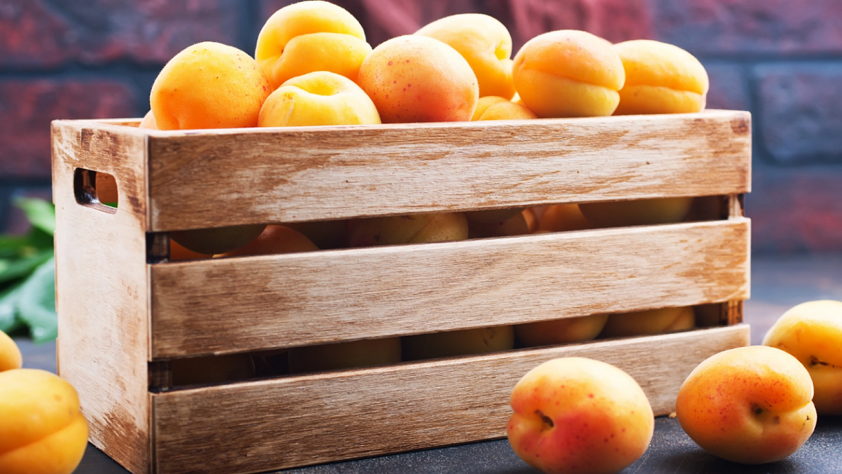 TMO'nun Kayısı Alımı Başladı! Peki Alım Kayısı Fiyatlarını Nasıl Etkileyecek?