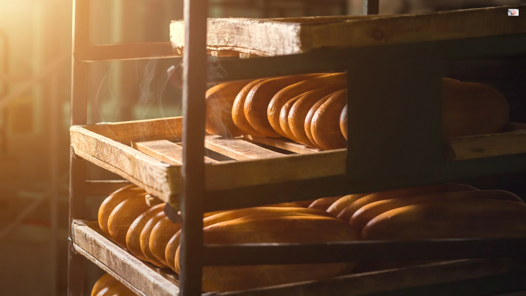 Malatya'da Ekmek Satışında Yeni Dönem: Bilgileri Artık Üzerinde Olacak