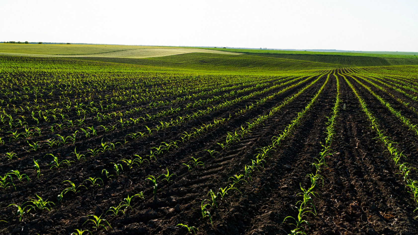 Malatyalı Çiftçilere Büyük Müjde: 3 Yıllık Destek Paketi!