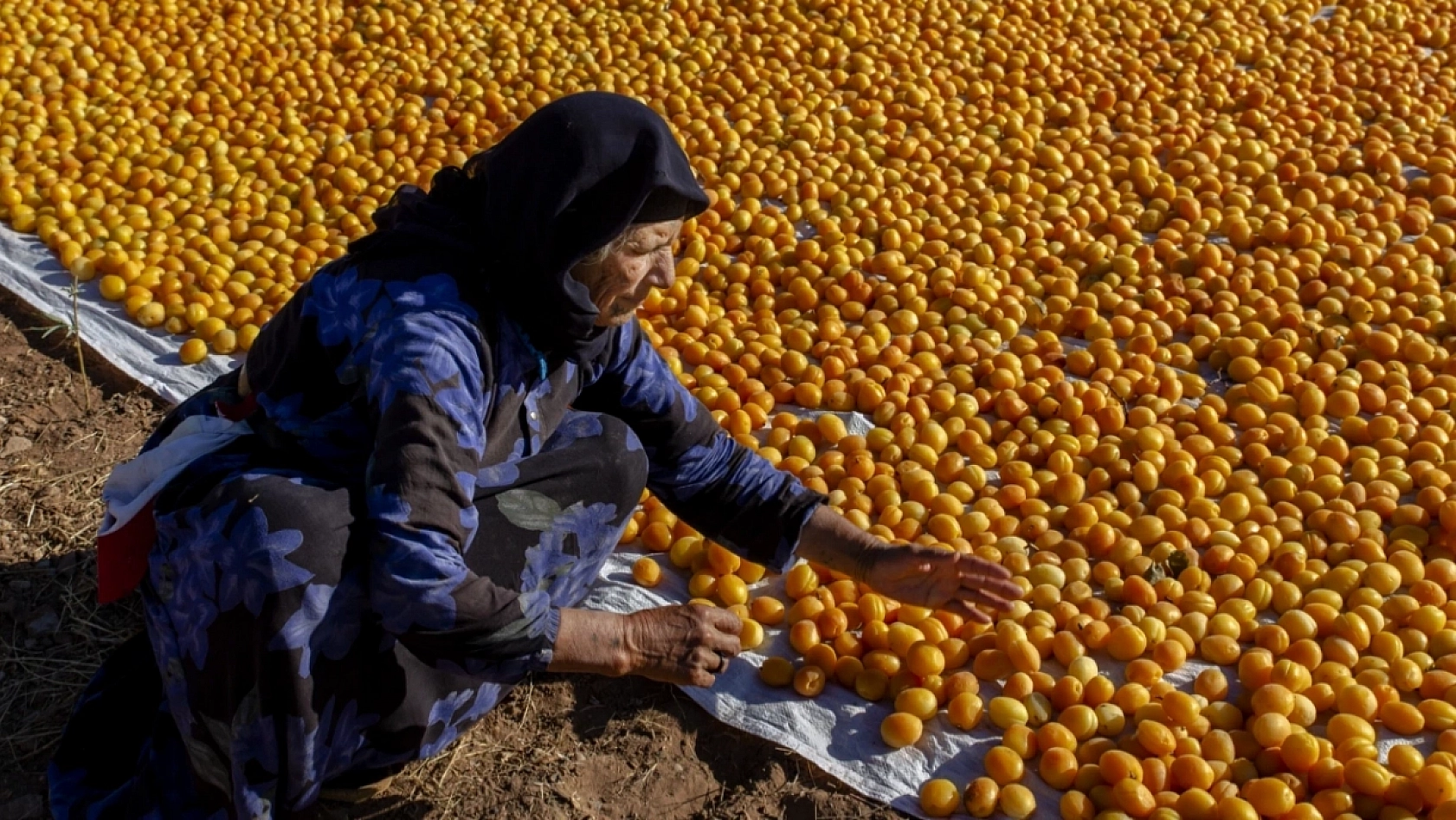 Kuru Kayısının Marketteki Fiyatı Dudak Uçuklattı!