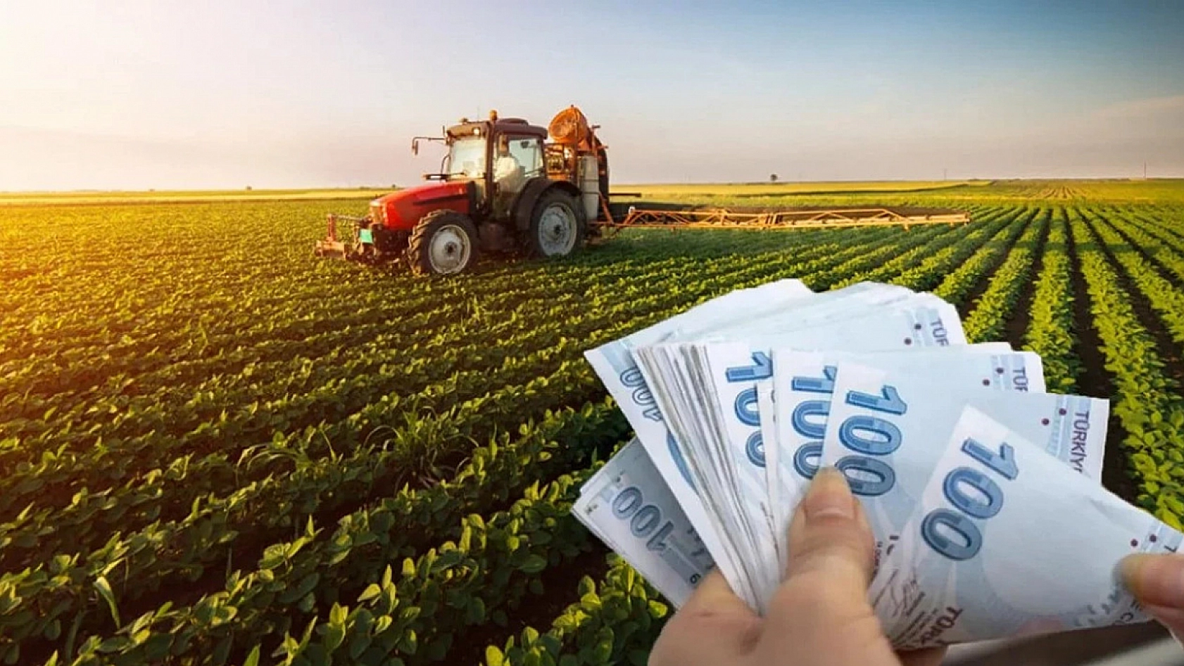 Malatya Çiftçisine Destek Yağmuru: Hesaplara Bugün Aktarılıyor…