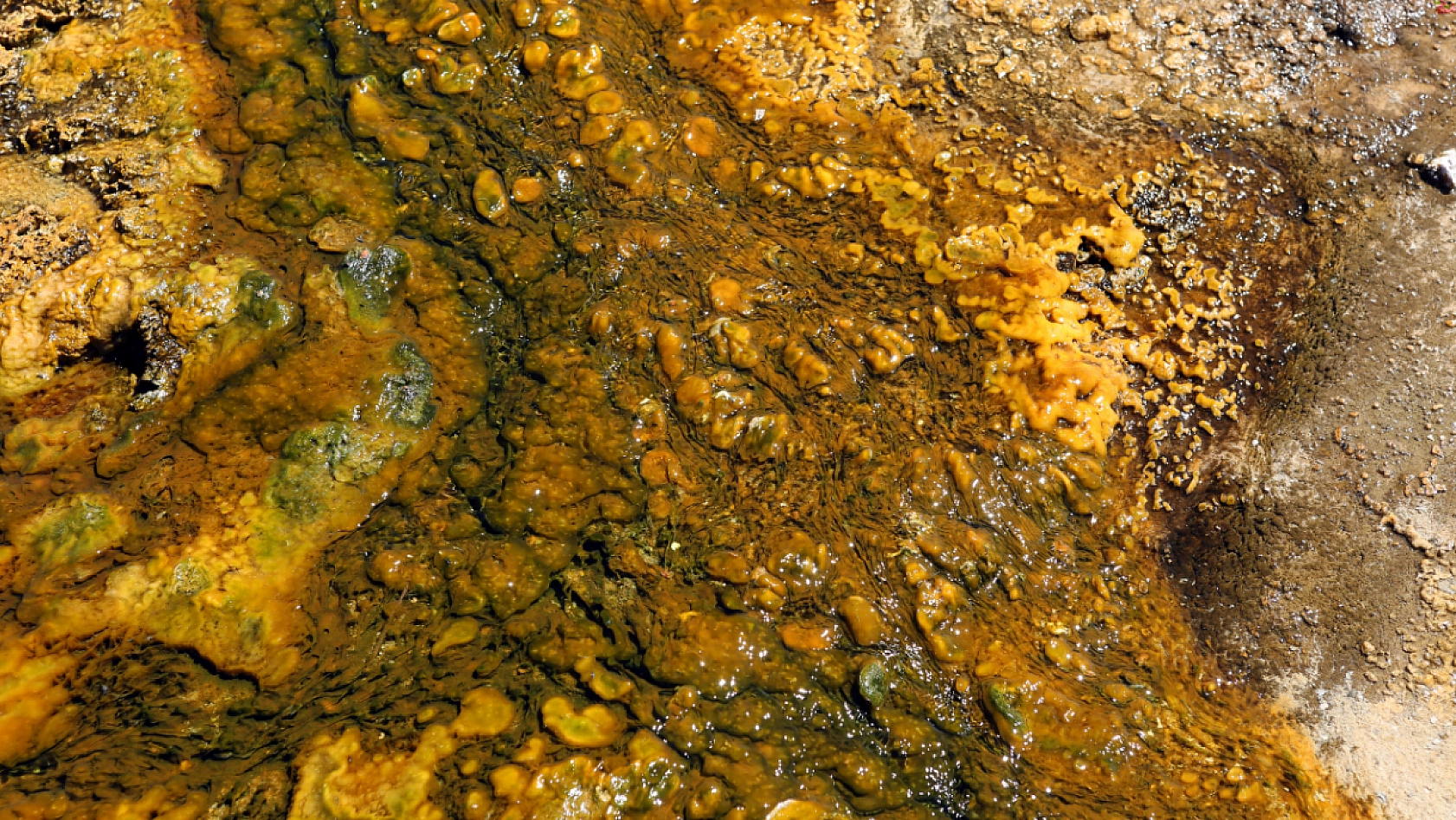 Malatya'da Altın Rezervi Mi Oluşuyor? Sır Çözüldü...