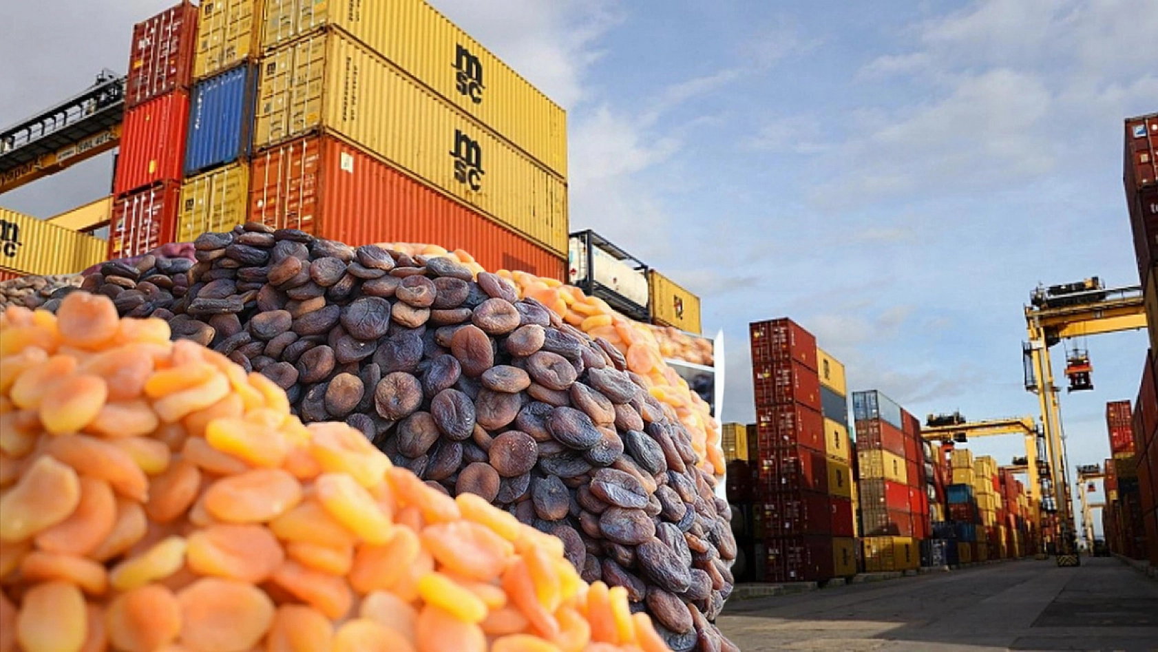 Bakanlık İl İl Açıkladı! Malatya Listede Yok…