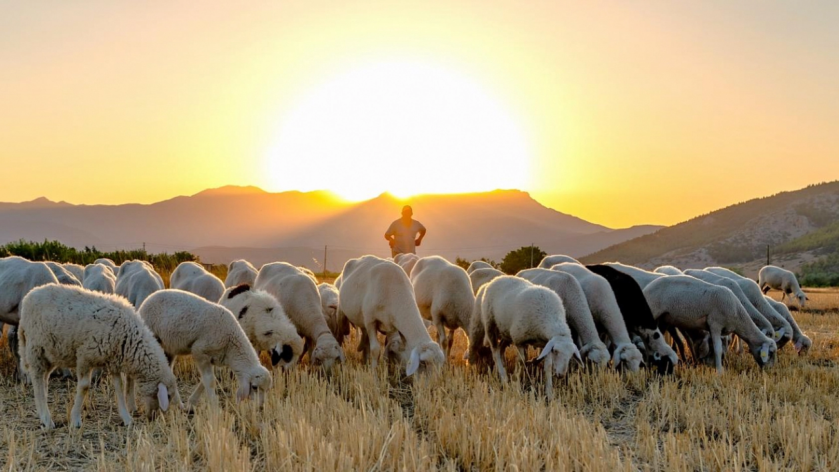 Malatya Valisi Destekleri Açıkladı! İşte Malatya'ya Deprem Sonrası Yapılan Destekler…