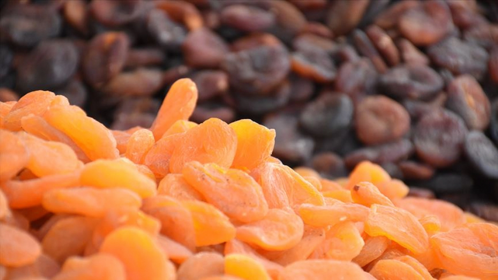 İklim Değişikliği Kayısıyı Olumsuz Etkileyecek: Coğrafi İşaret Gidebilir!