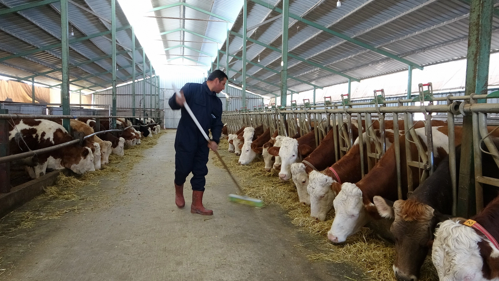 Kimya öğretmeni hayalini bıraktı, şimdi ise milyonlar kazanıyor..!